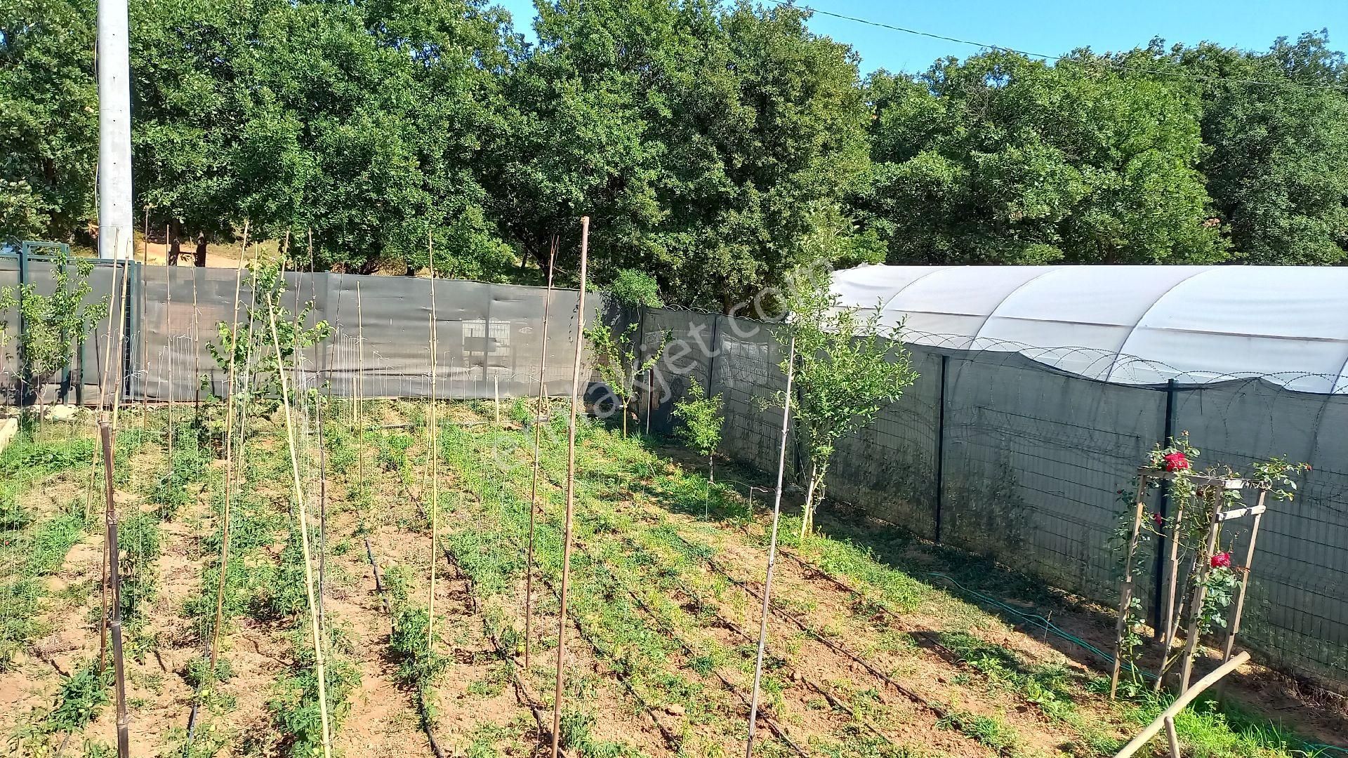 Gebze Cumaköy Mahallesi Asfalt Yol Cepheli Etrafı Çevrili 500 M2 Hisse - Görsel 11