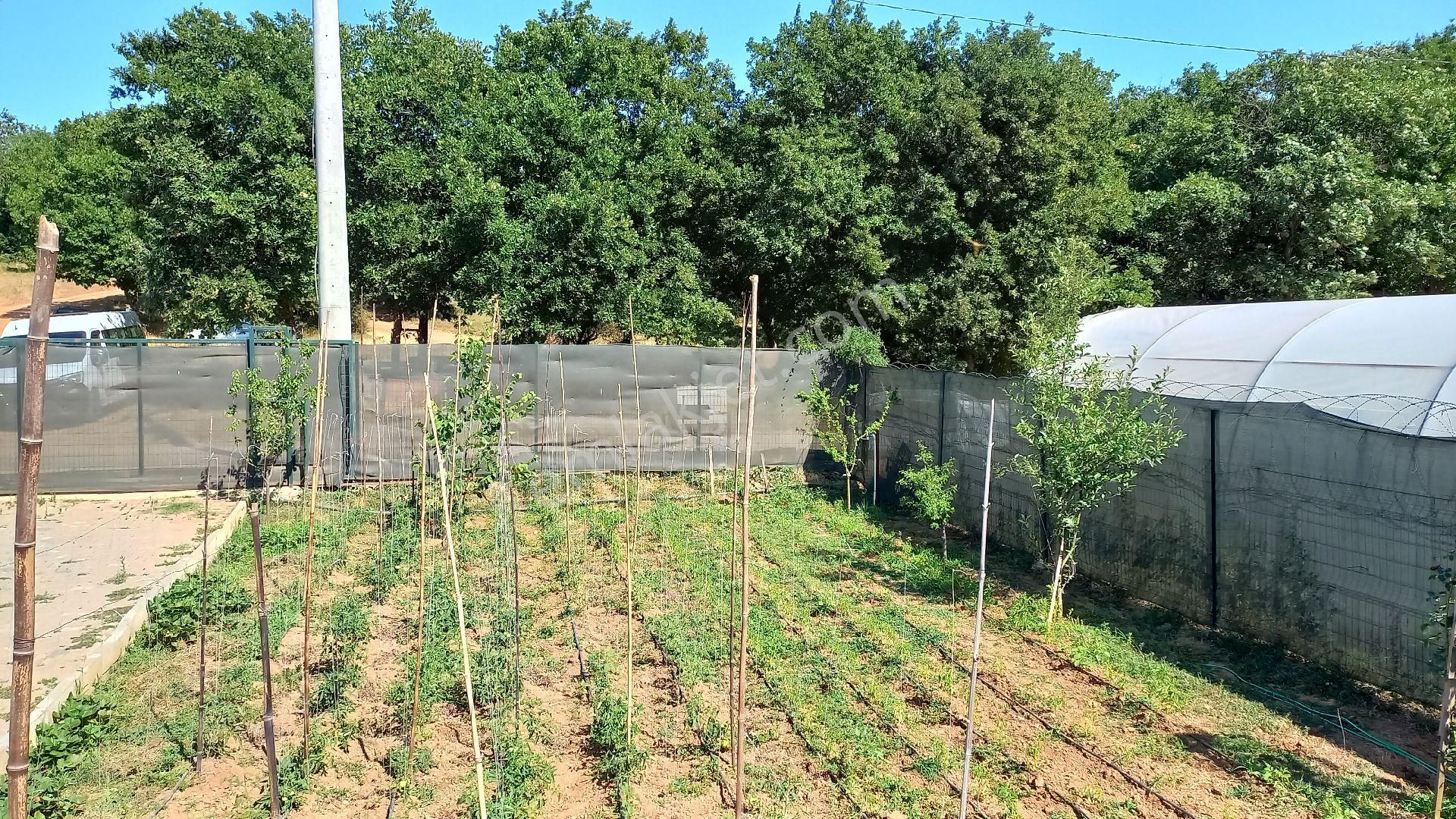 Gebze Cumaköy Mahallesi Asfalt Yol Cepheli Etrafı Çevrili 500 M2 Hisse - Görsel 16