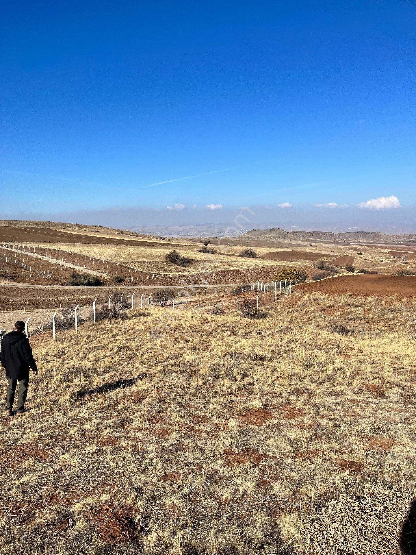 Ankara Polatlı Macun 1229m2 Tek Tapu Köyiçi