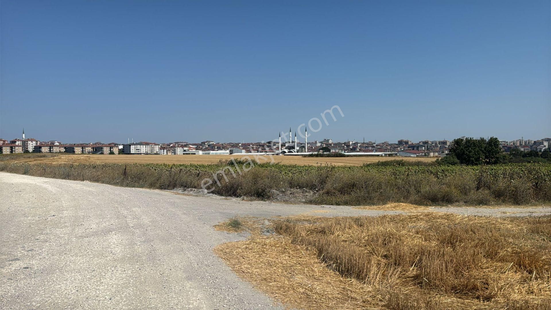 Tekirdağ Kapaklı'da Satılık 17 Dönüm Tek Tapu Kupon Tarla