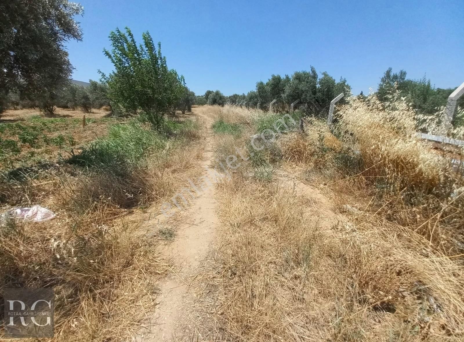 Rotaa Gayrimenkulden Karakuyu'da Mirastan Bölme Satılık Zeytinli