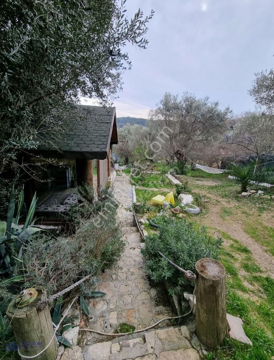 Foça Kozbeyli' De 853 M2 Arazi İçinde 70 M2 Otantik Taş Ev - Görsel 4