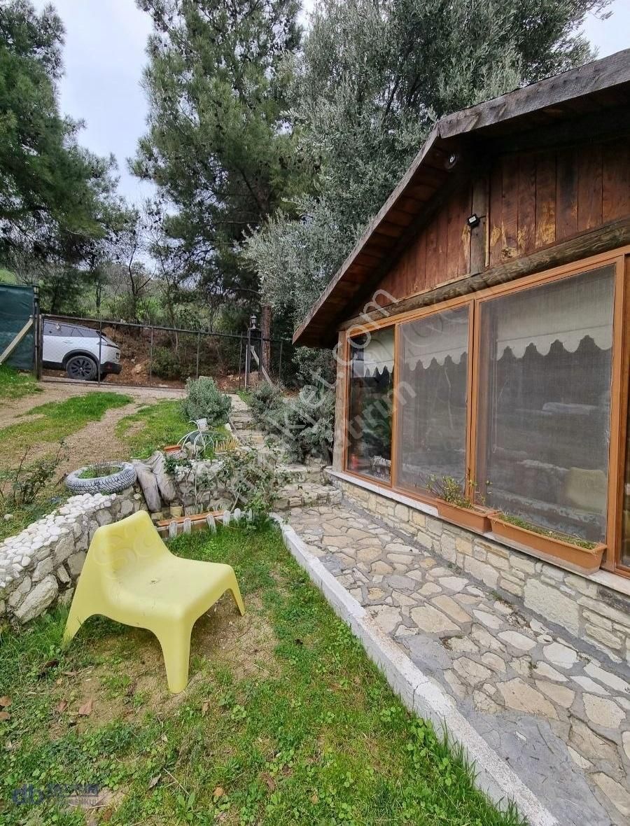 Foça Kozbeyli' De 853 M2 Arazi İçinde 70 M2 Otantik Taş Ev - Görsel 12