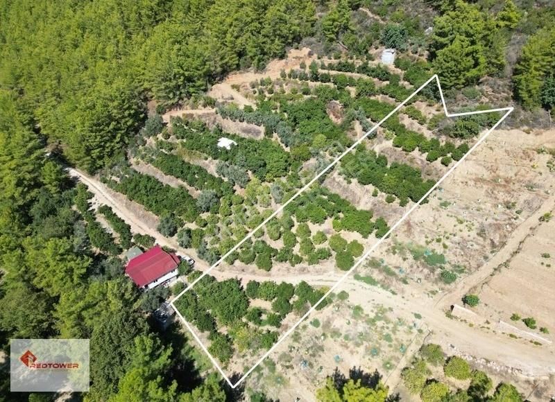 Alanya Kızılcaşehir'de Kale Ve Deniz Manzaralı Satılık Tarla - Görsel 3