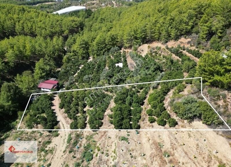 Alanya Kızılcaşehir'de Kale Ve Deniz Manzaralı Satılık Tarla - Görsel 14