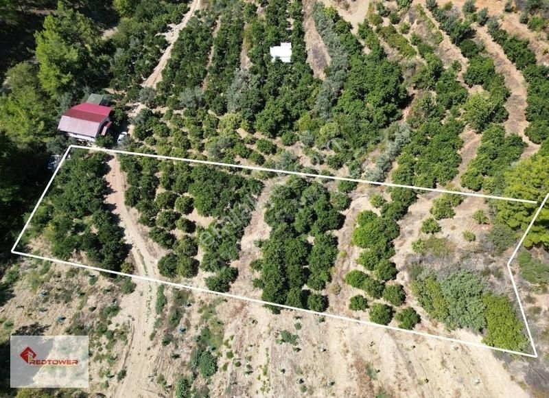 Alanya Kızılcaşehir'de Kale Ve Deniz Manzaralı Satılık Tarla - Görsel 6
