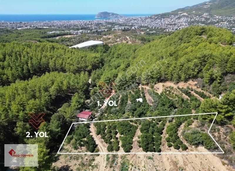 Alanya Kızılcaşehir'de Kale Ve Deniz Manzaralı Satılık Tarla - Görsel 9