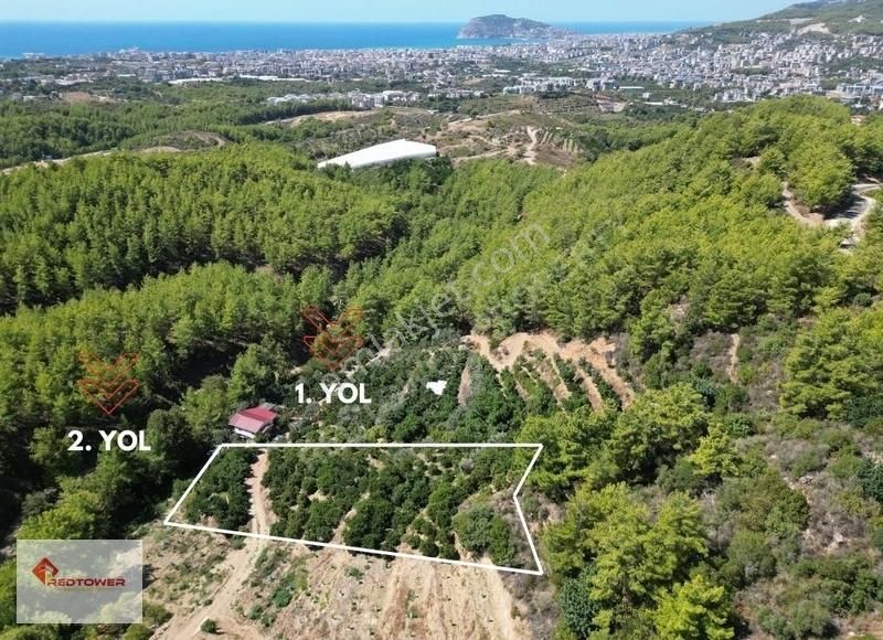 Alanya Kızılcaşehir'de Kale Ve Deniz Manzaralı Satılık Tarla - Görsel 4