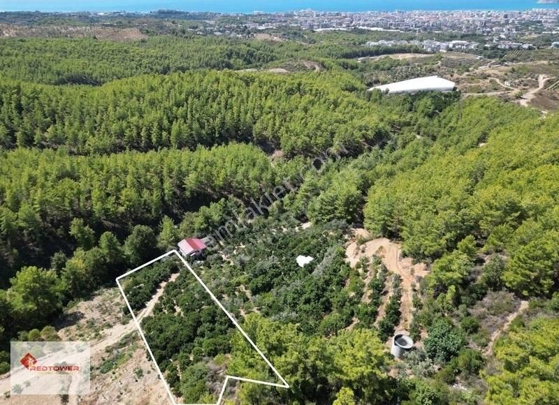 Alanya Kızılcaşehir'de Kale Ve Deniz Manzaralı Satılık Tarla - Görsel 10