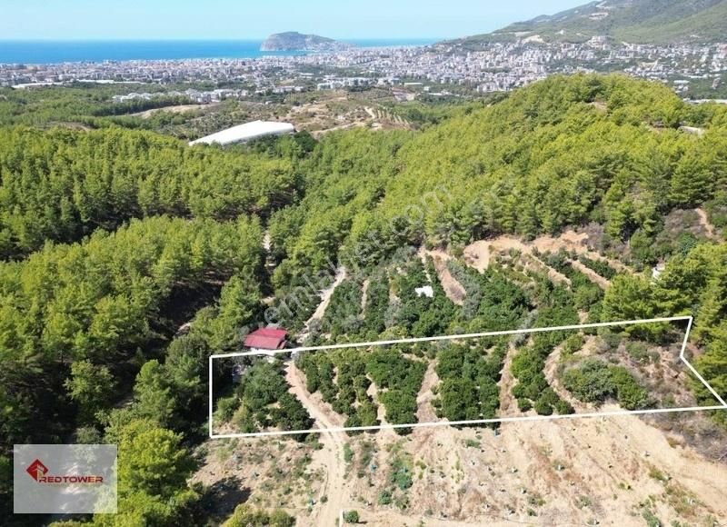 Alanya Kızılcaşehir'de Kale Ve Deniz Manzaralı Satılık Tarla - Görsel 15