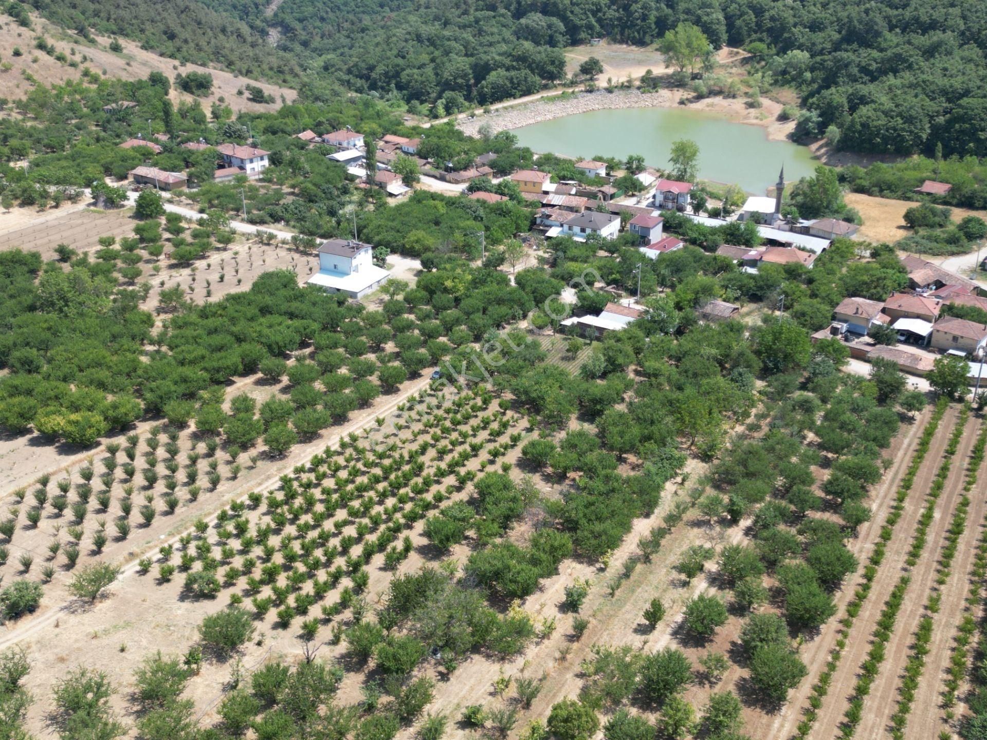 Bursa İznik Çamoluk Mahllesi Satılık Tarla - Görsel 10