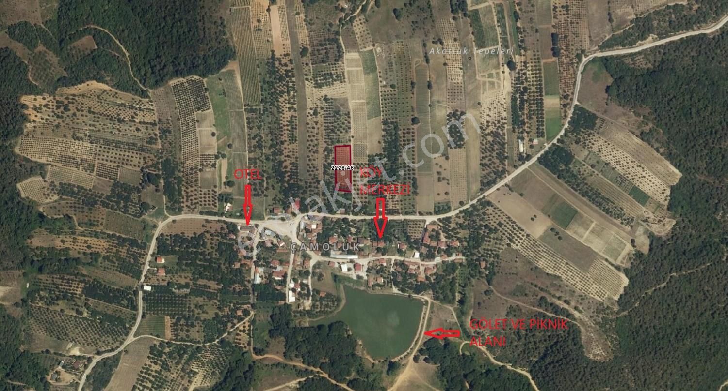 Bursa İznik Çamoluk Mahllesi Satılık Tarla