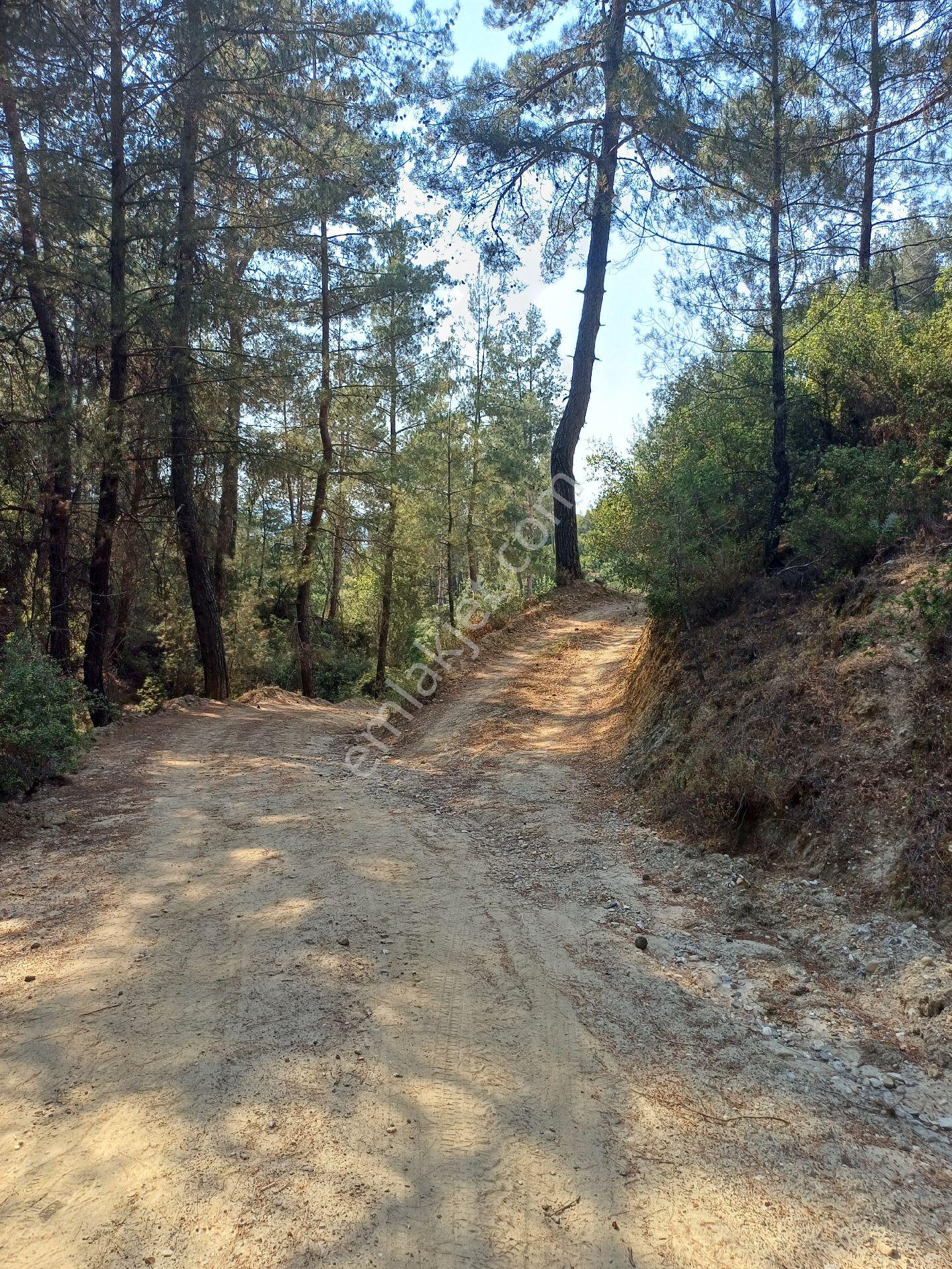 Şehir Gürültüsünden Uzak Huzur Köşesi..köy Kenarı. - Görsel 34
