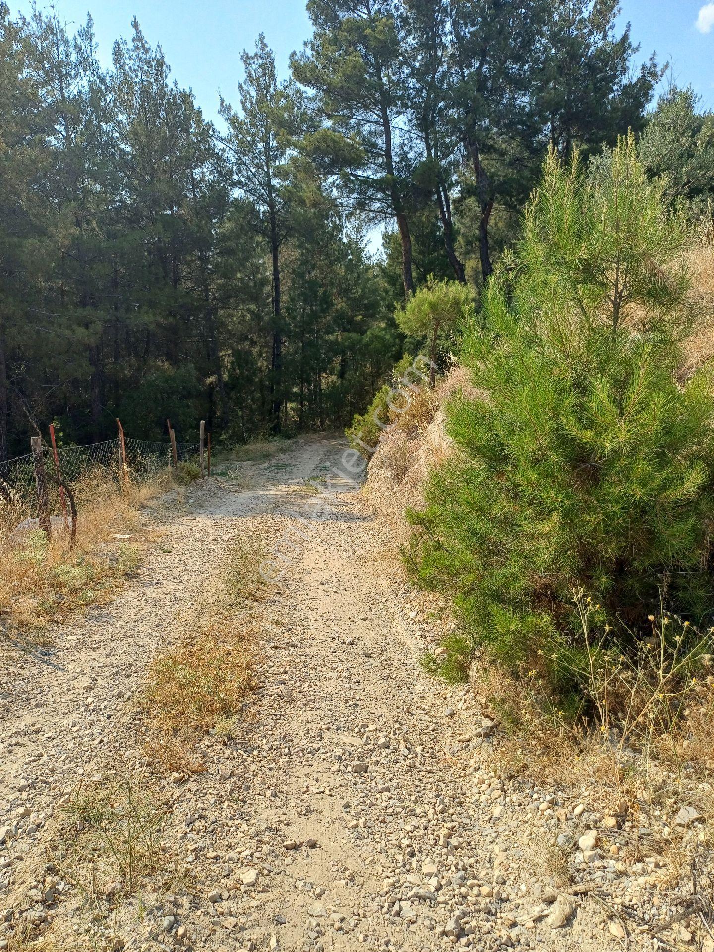 Şehir Gürültüsünden Uzak Huzur Köşesi..köy Kenarı. - Görsel 33