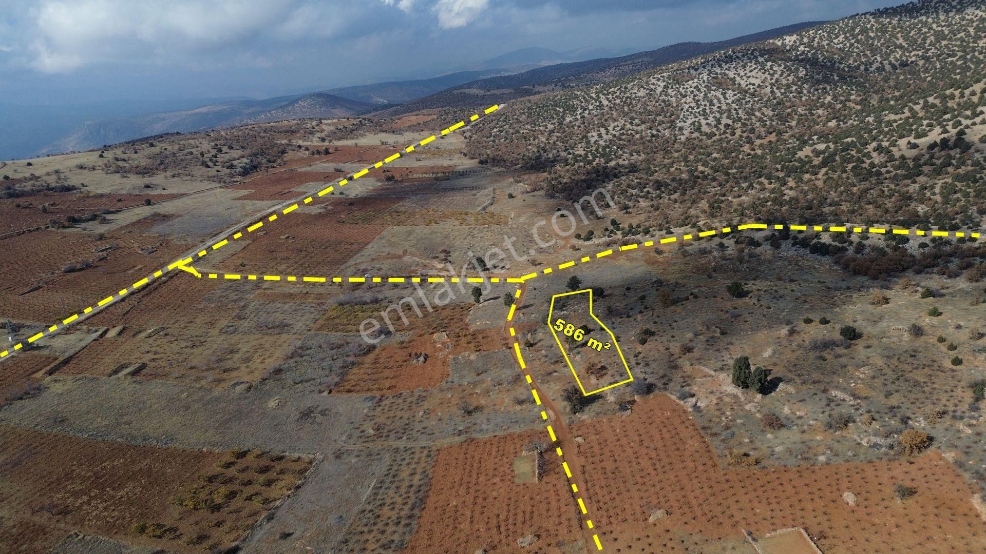 Konya / Hadim / Aşağıeşenler Mahallesinde 586 M² Müstakil Tapulu Bağ