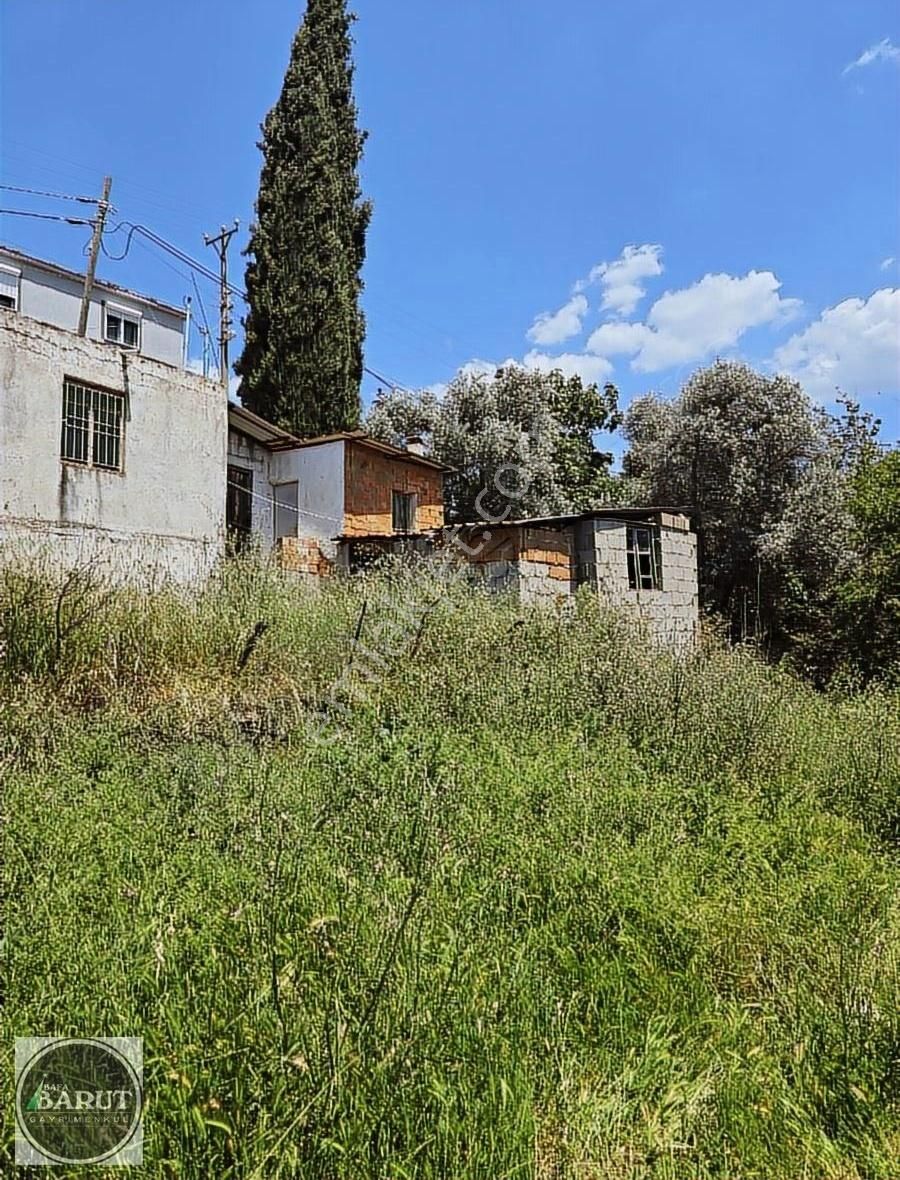 Milas Şenköy'de Kelepir Fiyata Kaçmaz Fırsat