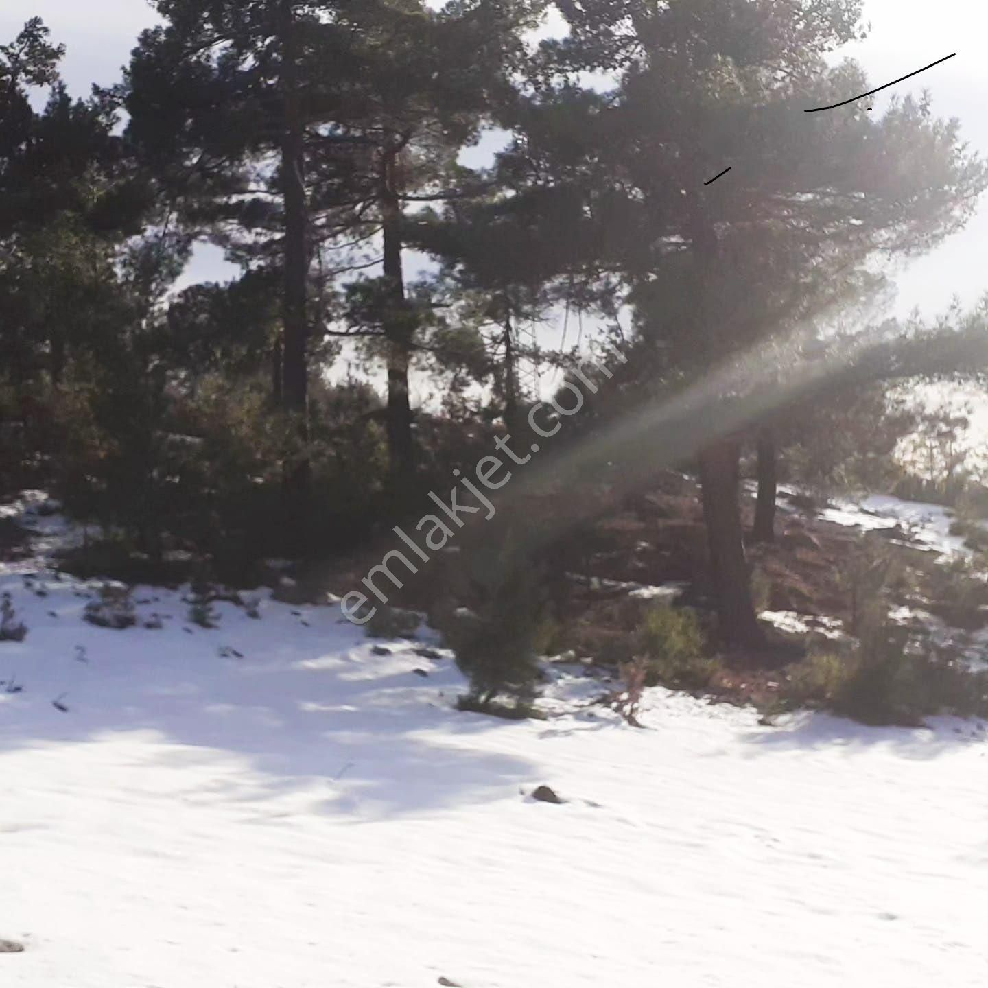 Pozantı Kar Emlaktan Gökbez Yaylasında 400 M2 İmarlı İfrazlı Doğa Manzaralı Arsa