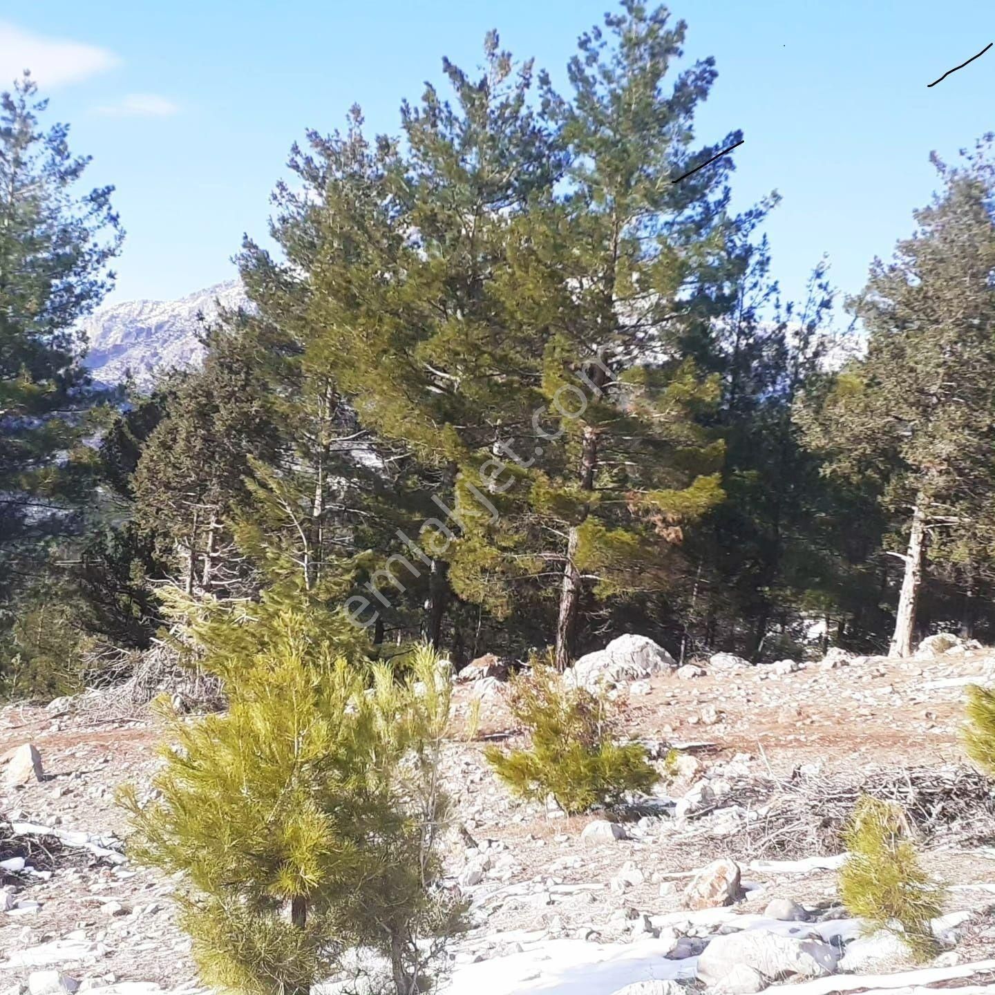 Pozantı Kar Emlaktan Gökbez Yaylasında 400 M2 İmarlı İfrazlı Doğa Manzaralı Arsa - Görsel 2