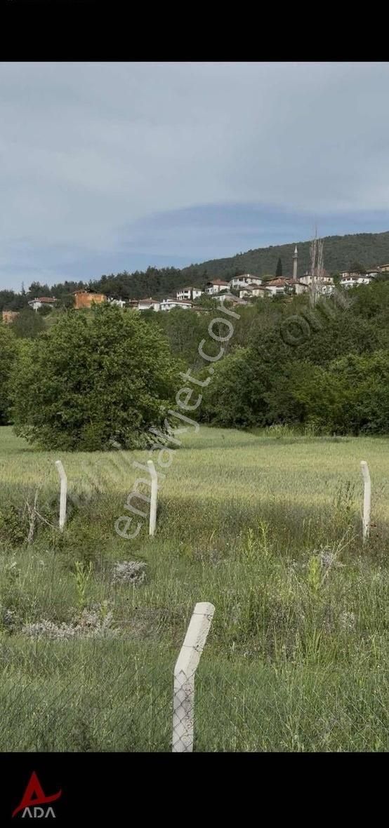 Bilecik Gölpazarı Karağaçta Köye 400 Mt. Resmi Yollu Tarla