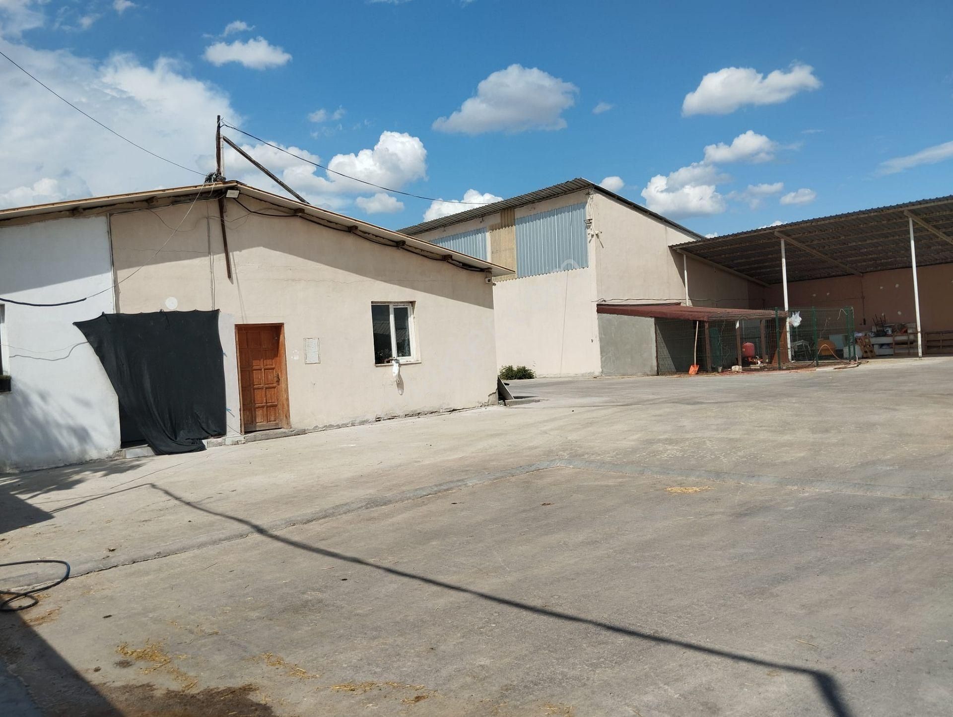 Aslantürk Emlaktan Satılık Besi Çiftliği - Görsel 32