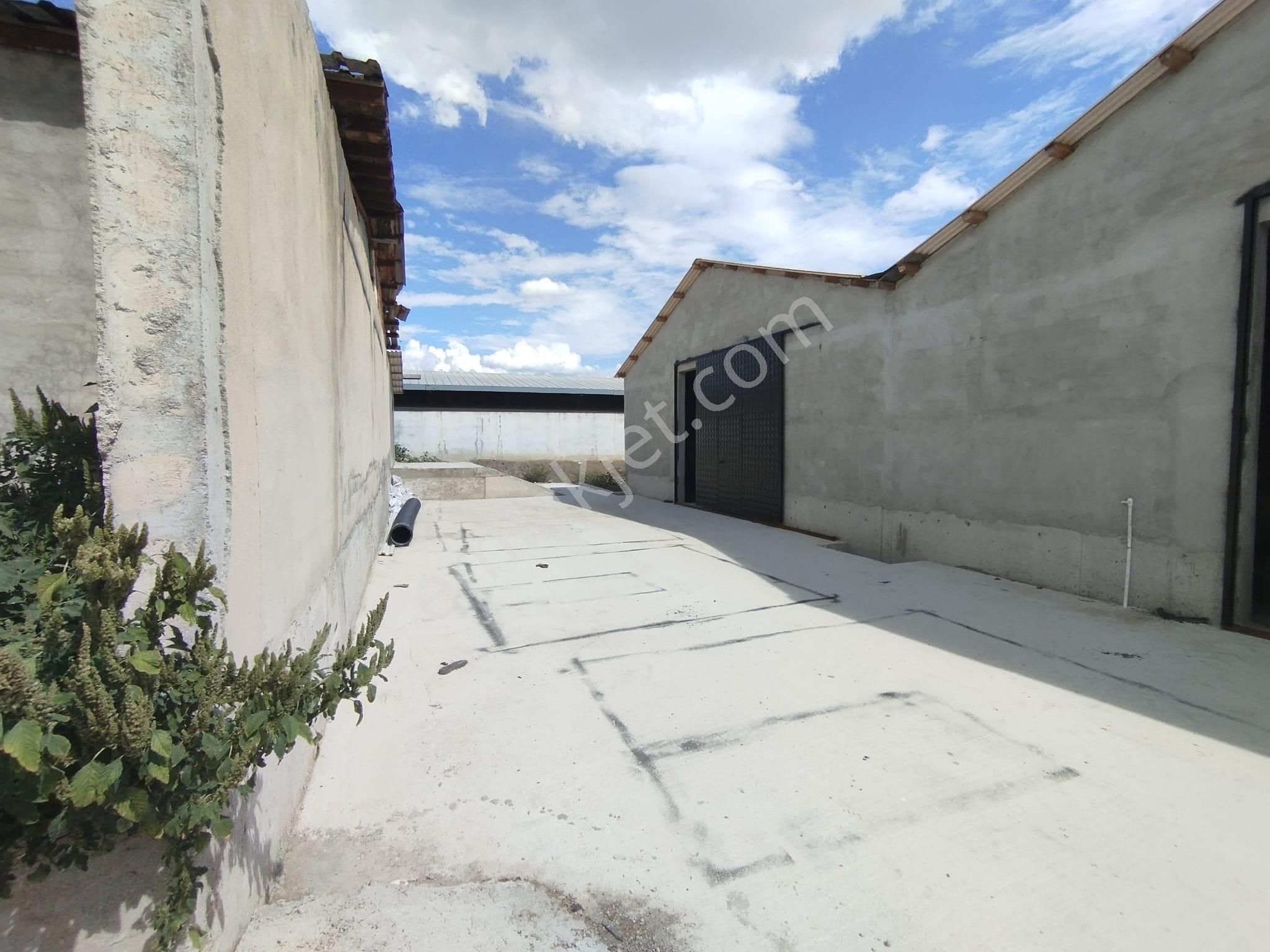 Aslantürk Emlaktan Satılık Besi Çiftliği - Görsel 30