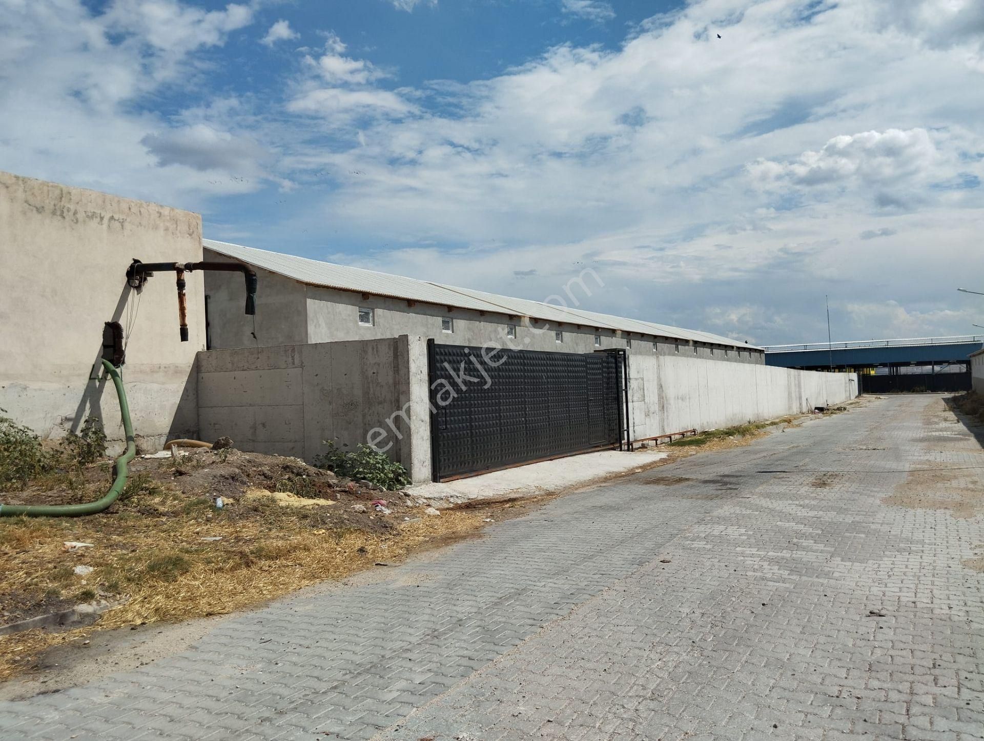 Aslantürk Emlaktan Satılık Besi Çiftliği - Görsel 15