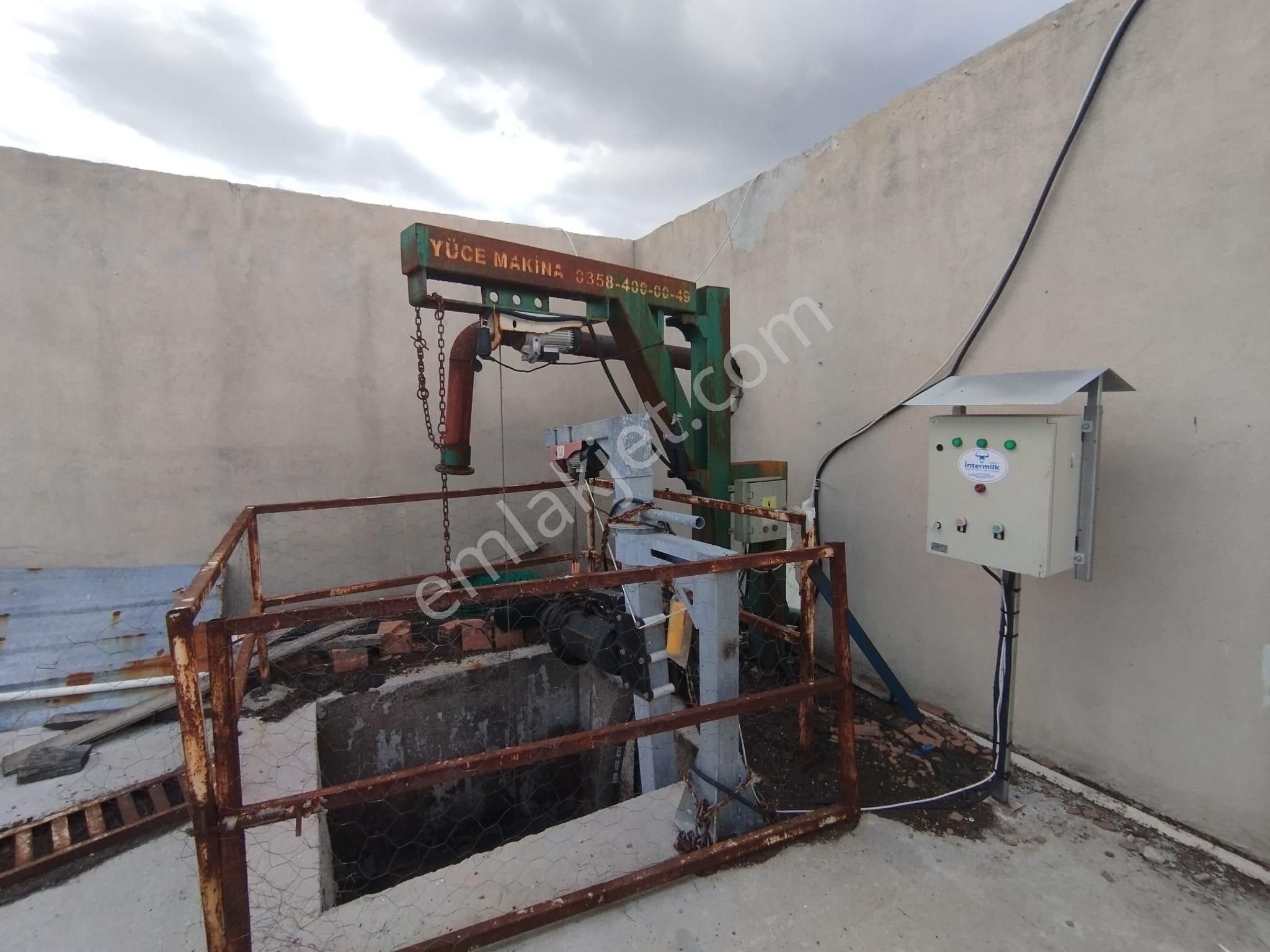 Aslantürk Emlaktan Satılık Besi Çiftliği - Görsel 7