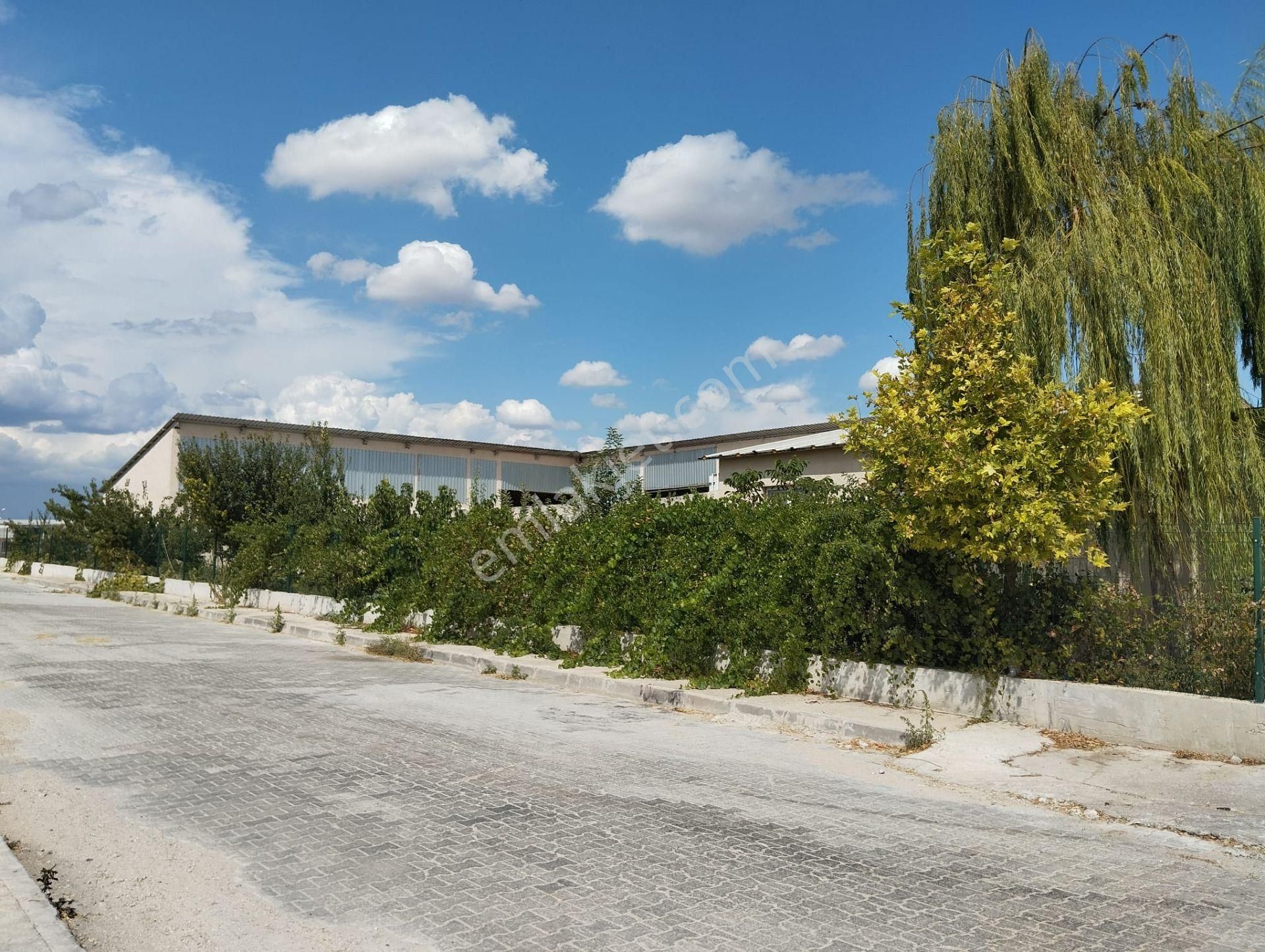 Aslantürk Emlaktan Satılık Besi Çiftliği - Görsel 9