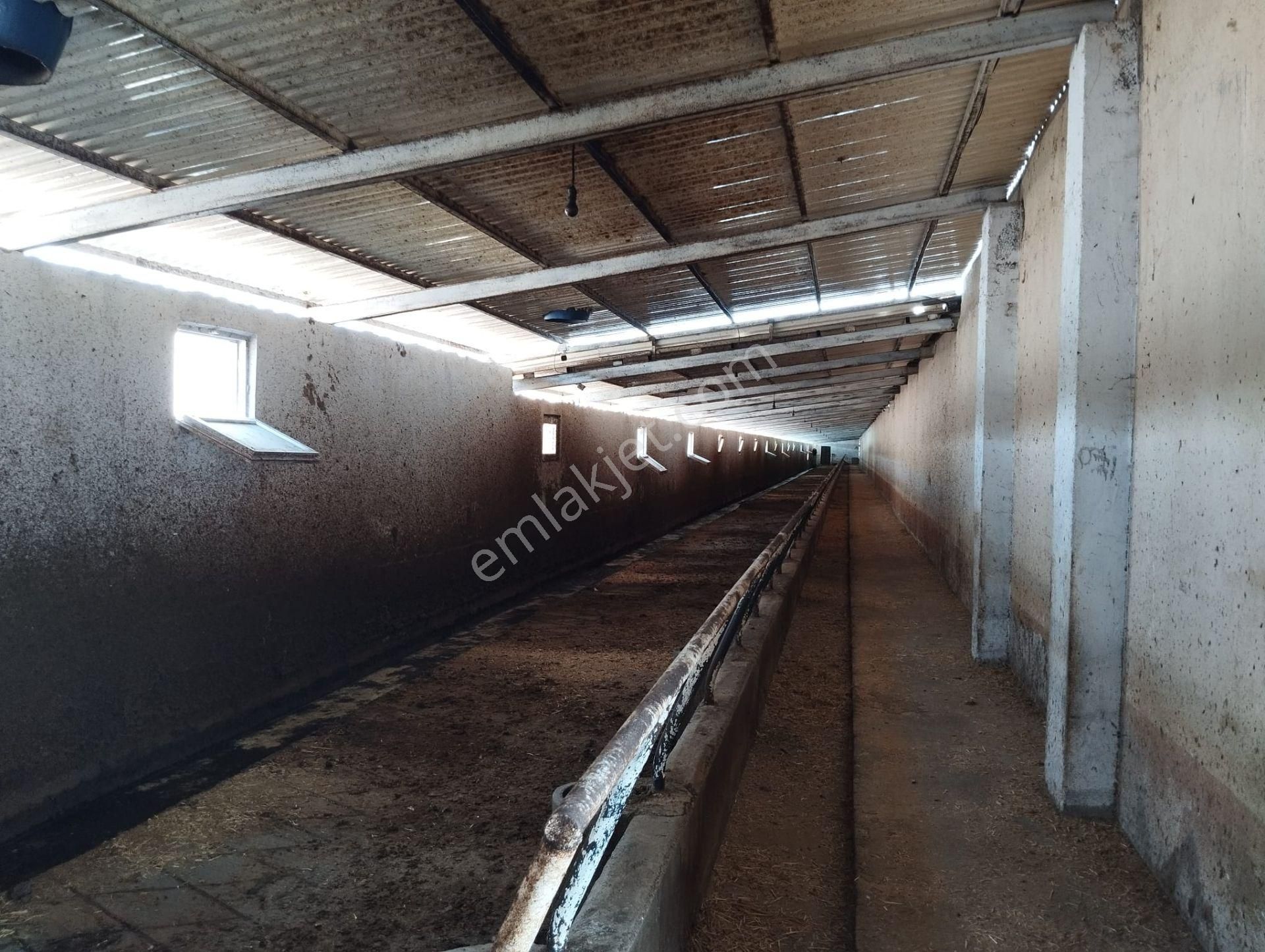 Aslantürk Emlaktan Satılık Besi Çiftliği - Görsel 12