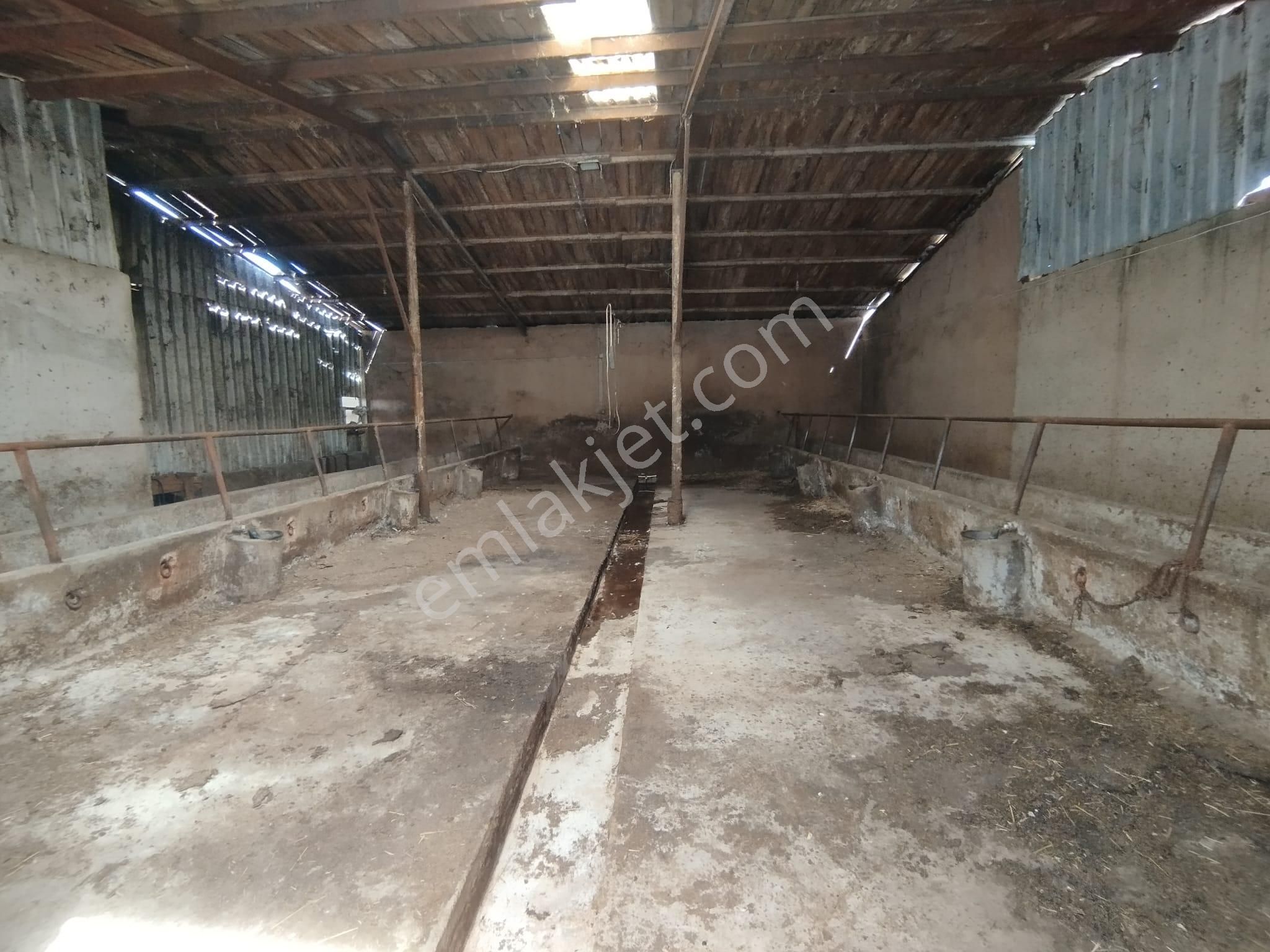 Aslantürk Emlaktan Satılık Besi Çiftliği - Görsel 6