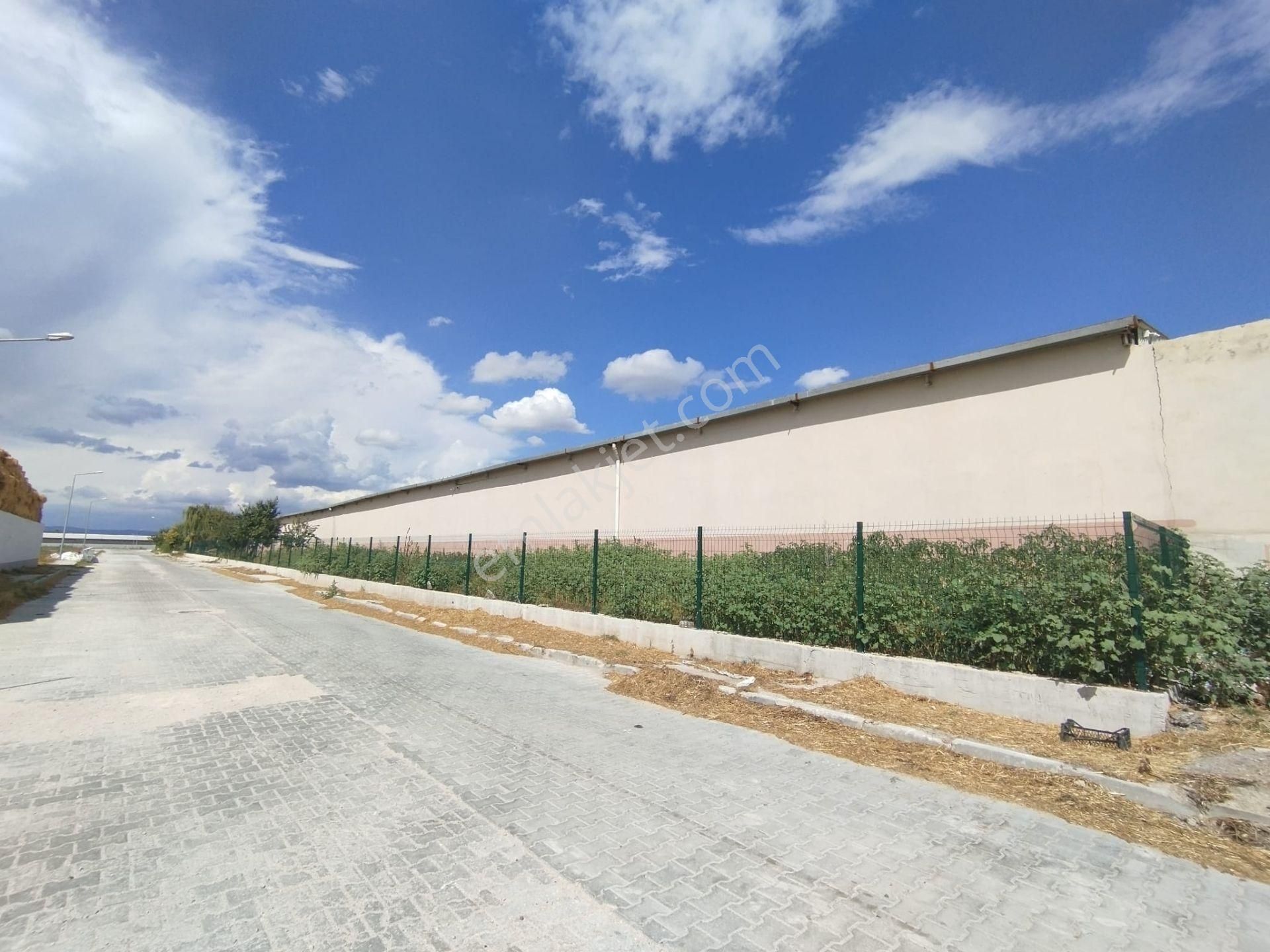 Aslantürk Emlaktan Satılık Besi Çiftliği - Görsel 33