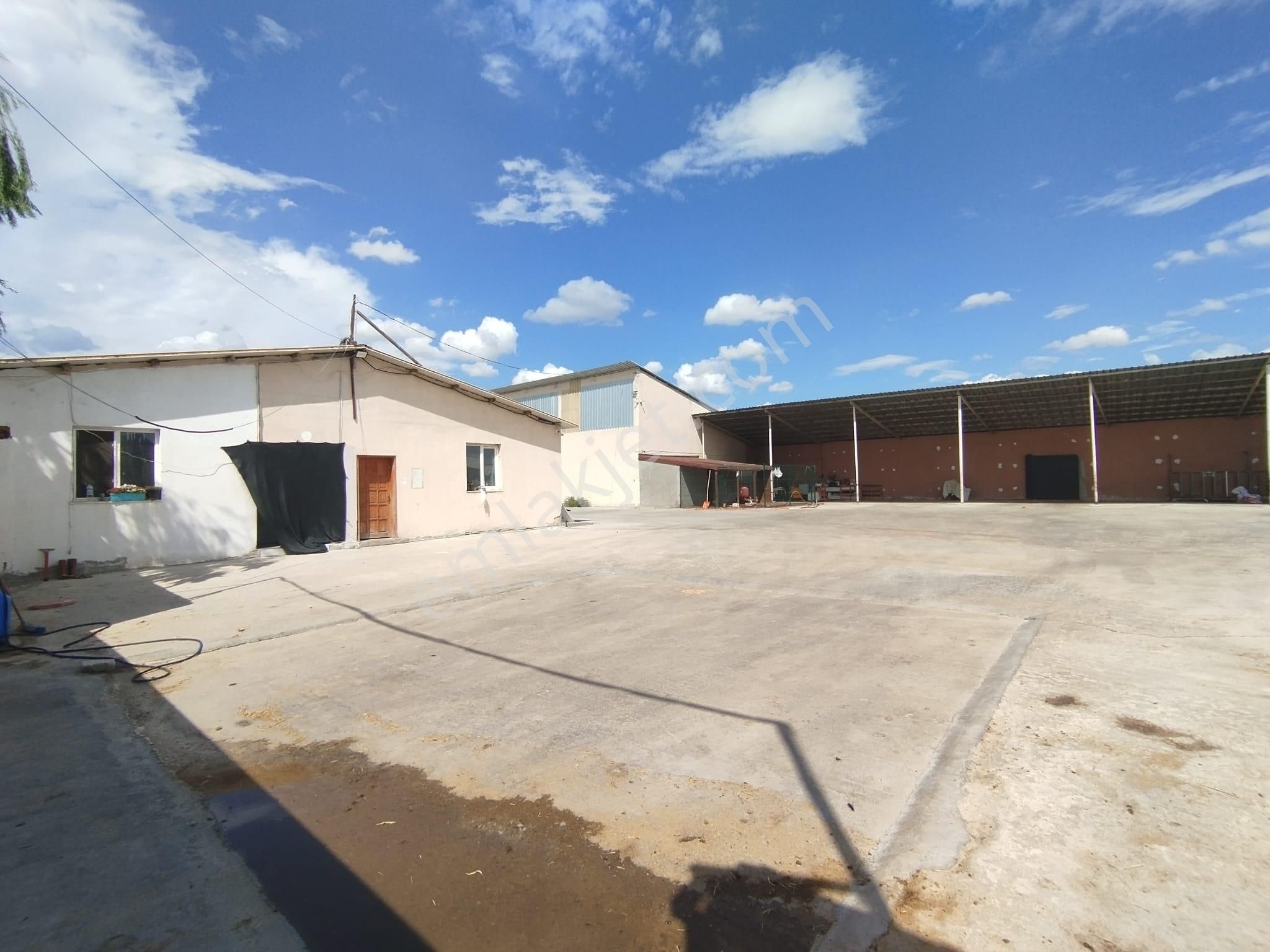 Aslantürk Emlaktan Satılık Besi Çiftliği - Görsel 31