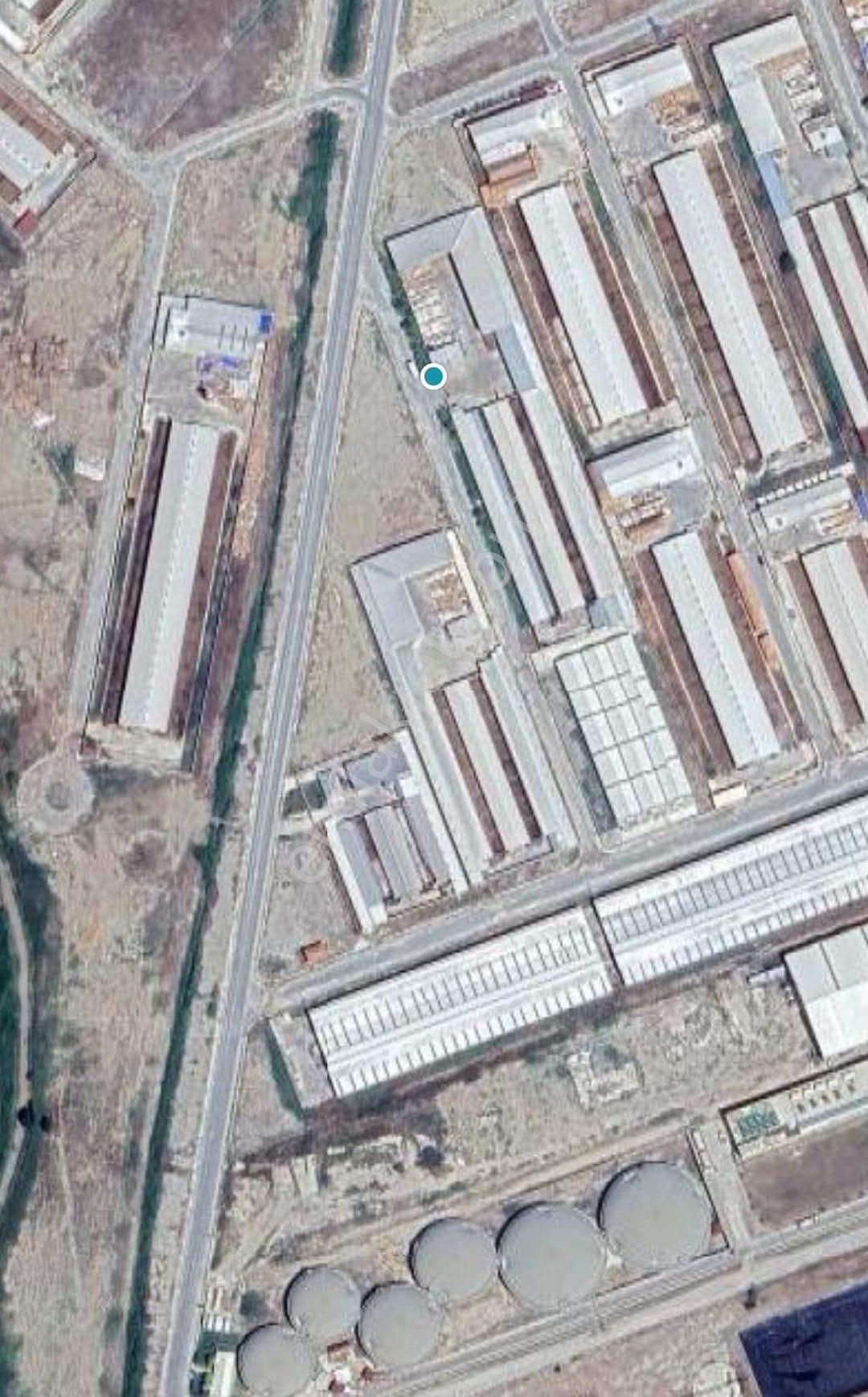 Aslantürk Emlaktan Satılık Besi Çiftliği - Görsel 3