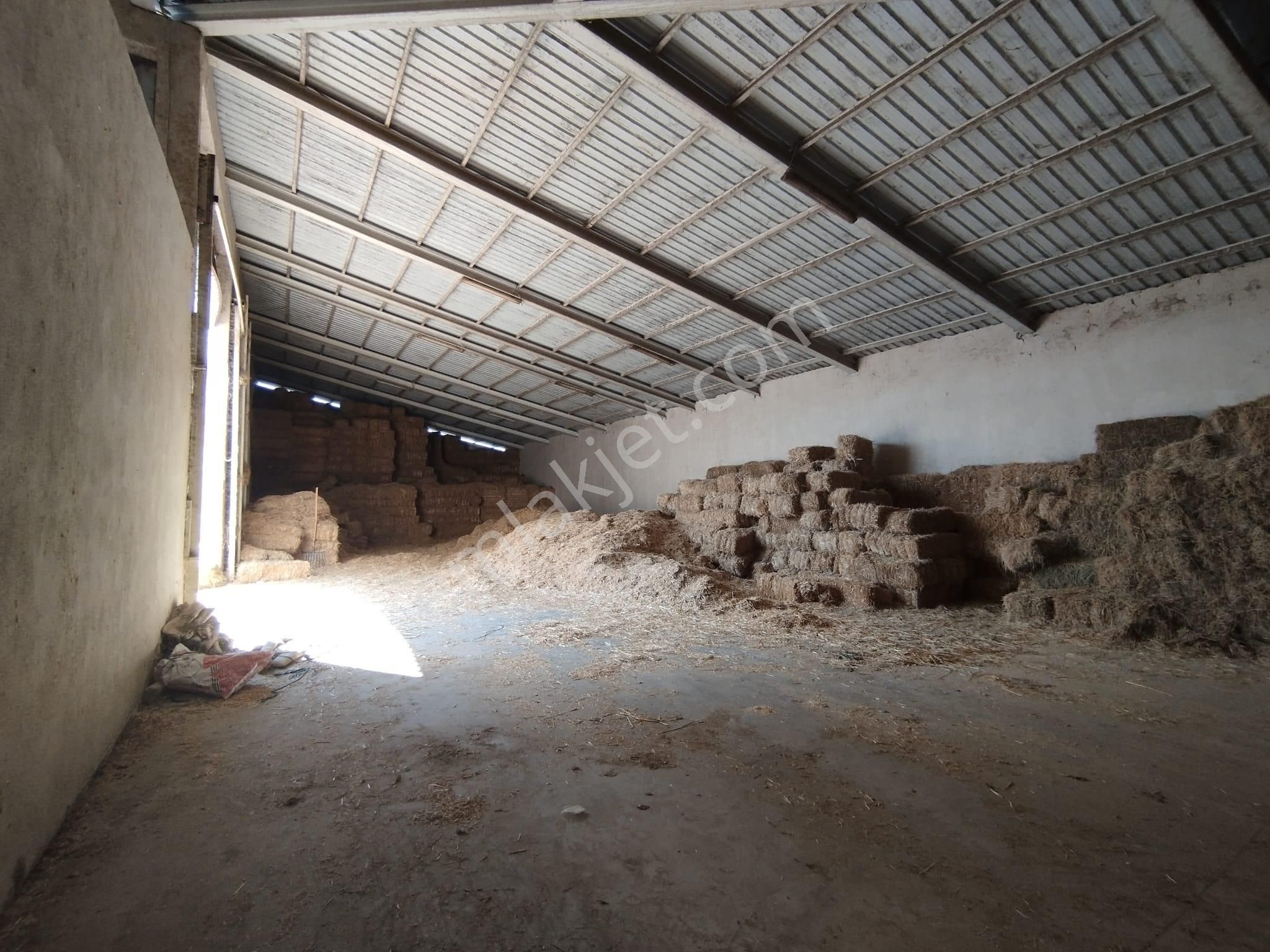 Aslantürk Emlaktan Satılık Besi Çiftliği - Görsel 16