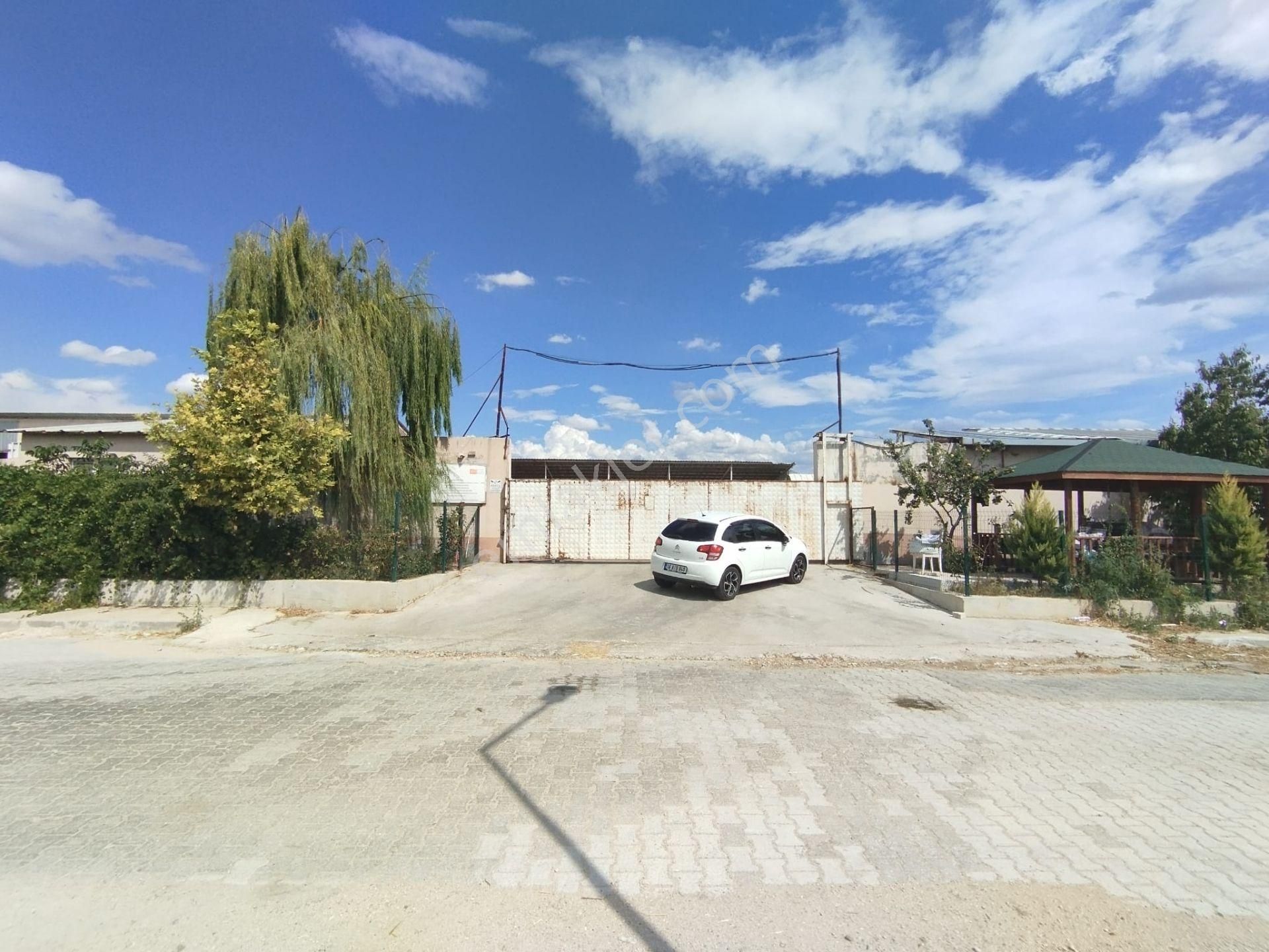 Aslantürk Emlaktan Satılık Besi Çiftliği - Görsel 4