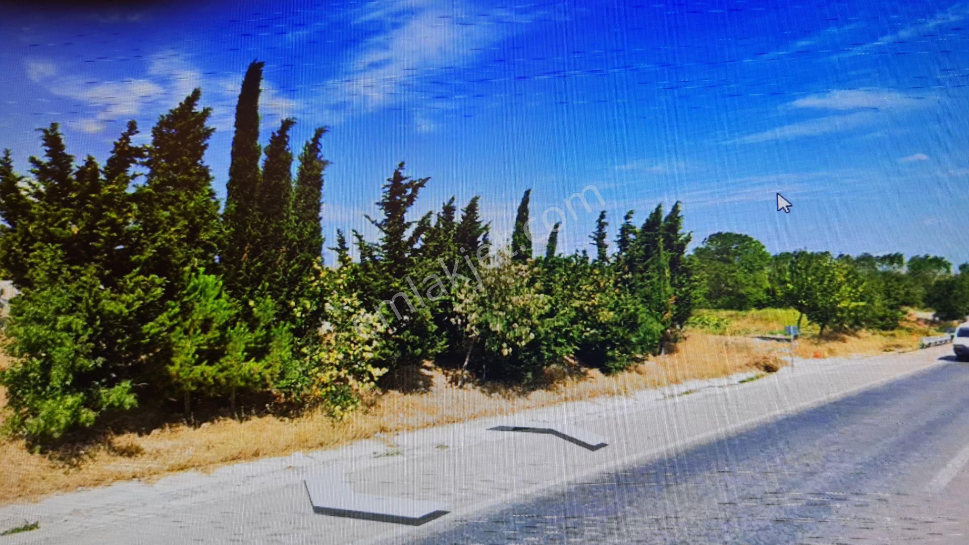 Bursa Karcabey Karakoca Asfalta Cephegöl Manzaralı Satılık Tarla