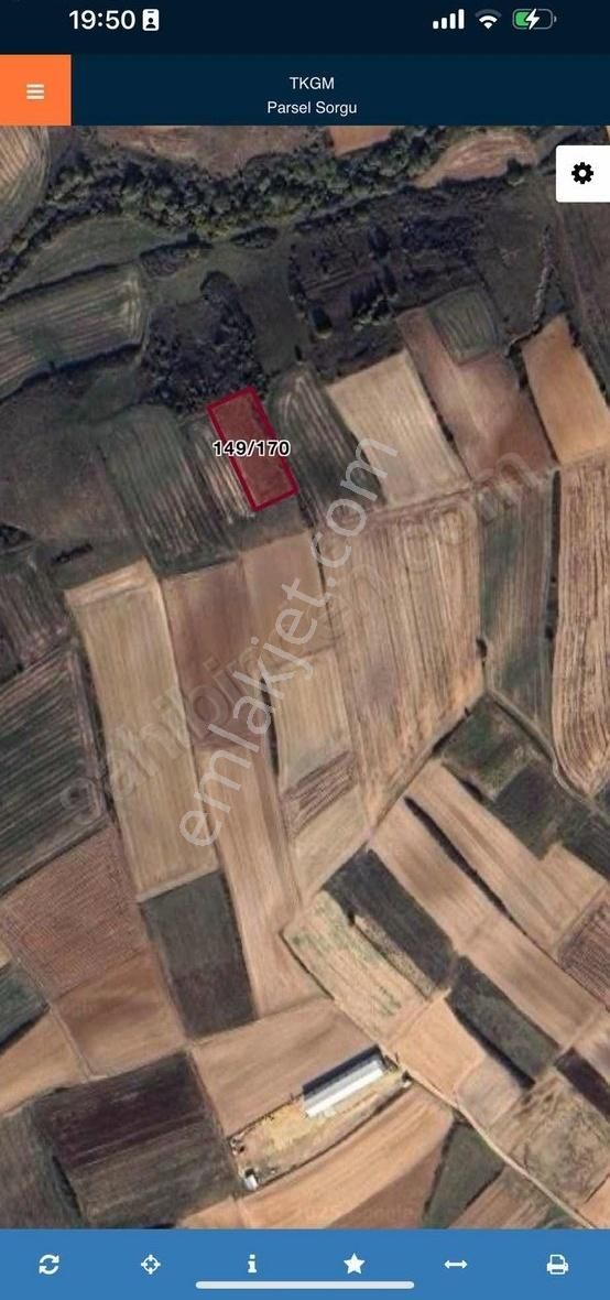 Tekirdağ Saray Satılık Hisseli Tarla 255 M2