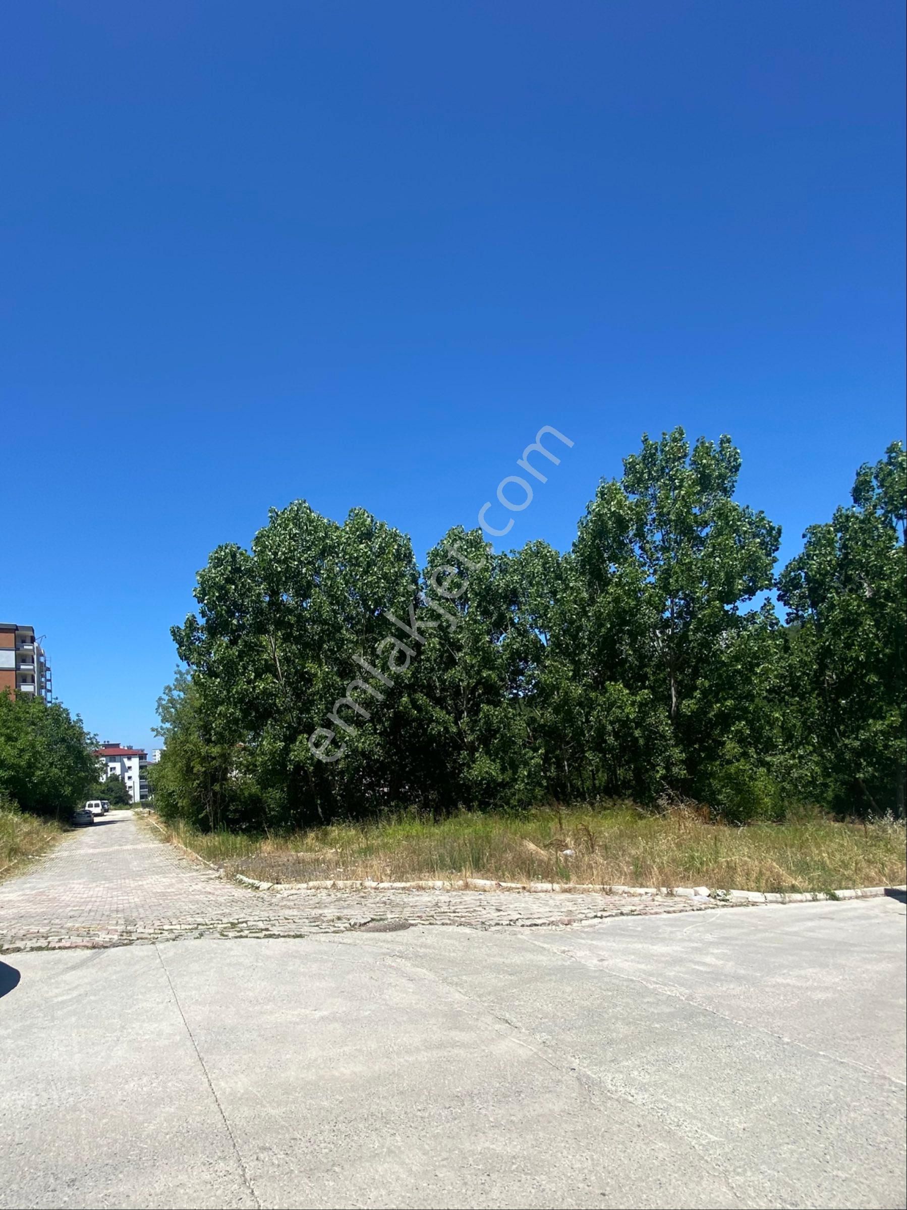 Kat Karşılığı Canik Hasköy %38 İle Vadi Bulvarına 2ci Parsel Arsa