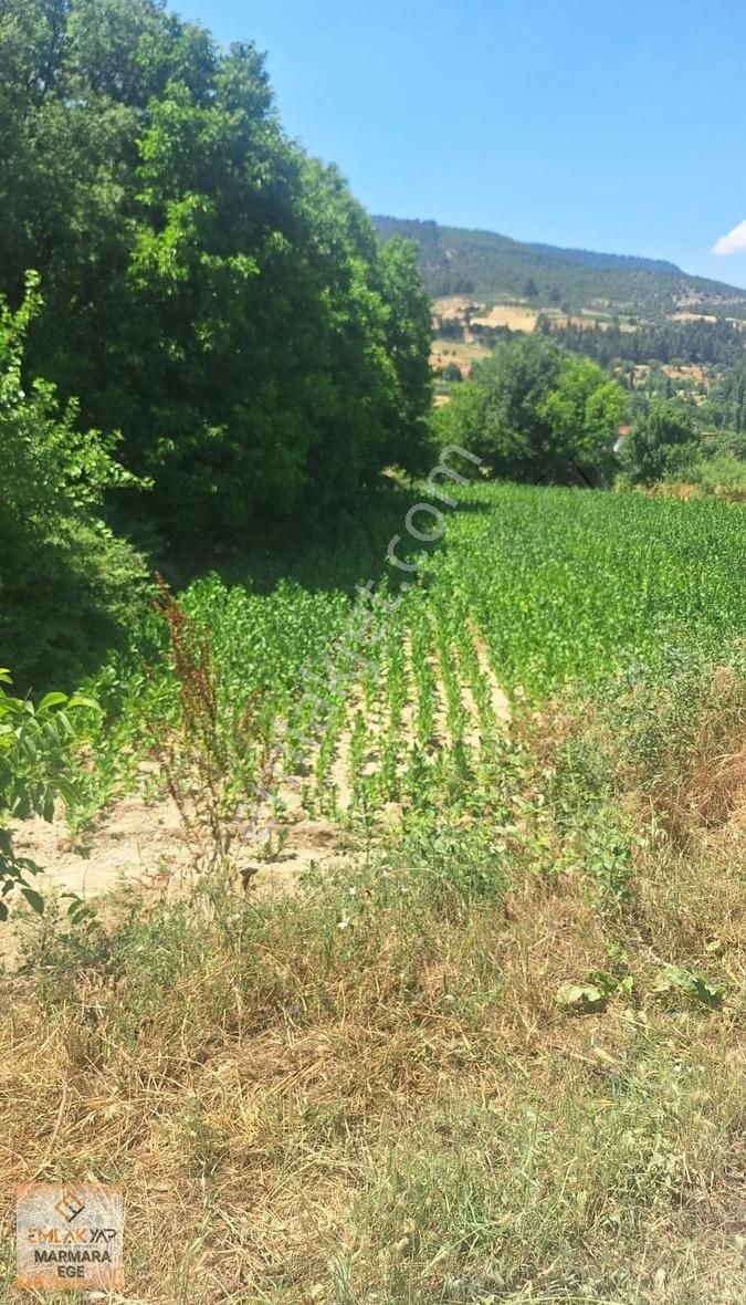 Emlakyap No:48'den Muğla Menteşe Çamoluk'ta Satılık Arsalar