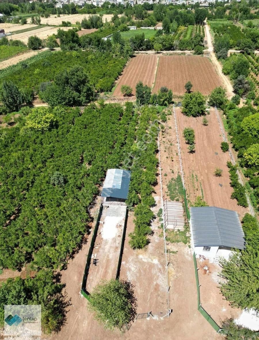 Entap Gayrimenkul'den Tek Tapu Etrafı Çevrili 705 M² Arazi