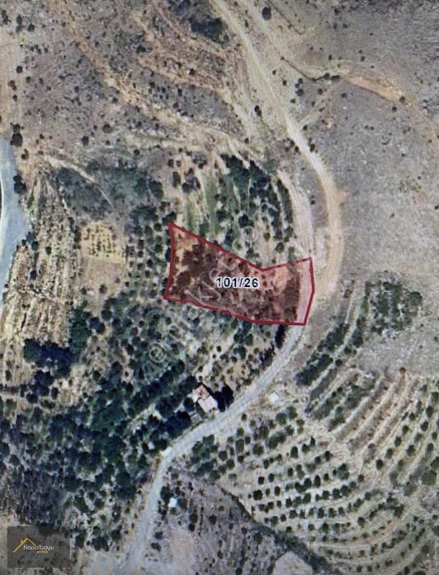 Kanalboyu Emlaktan Gündüzbey Kozluk Da 2300 M2 Satılık Bahçe