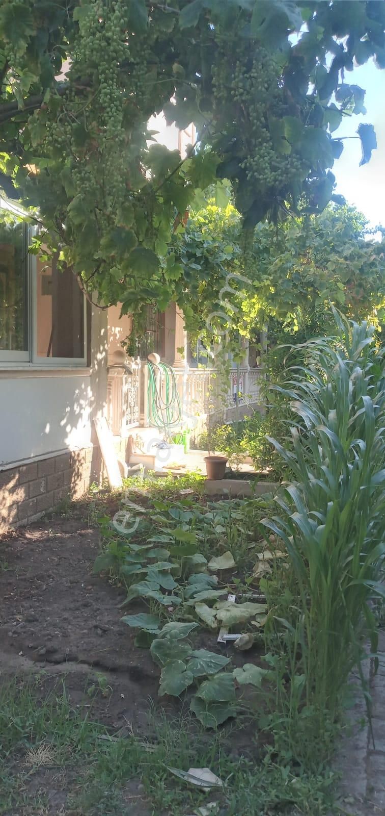Turpa Arxes Dikili Den Acil Satılık Villa