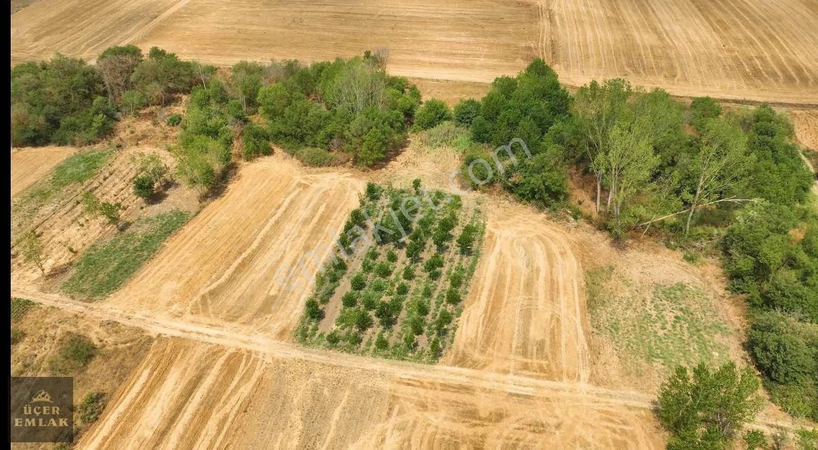 Üçer Emlaktan Edirne Havsa Yolageldi Köyünde 1032m2 Sat. Arazi