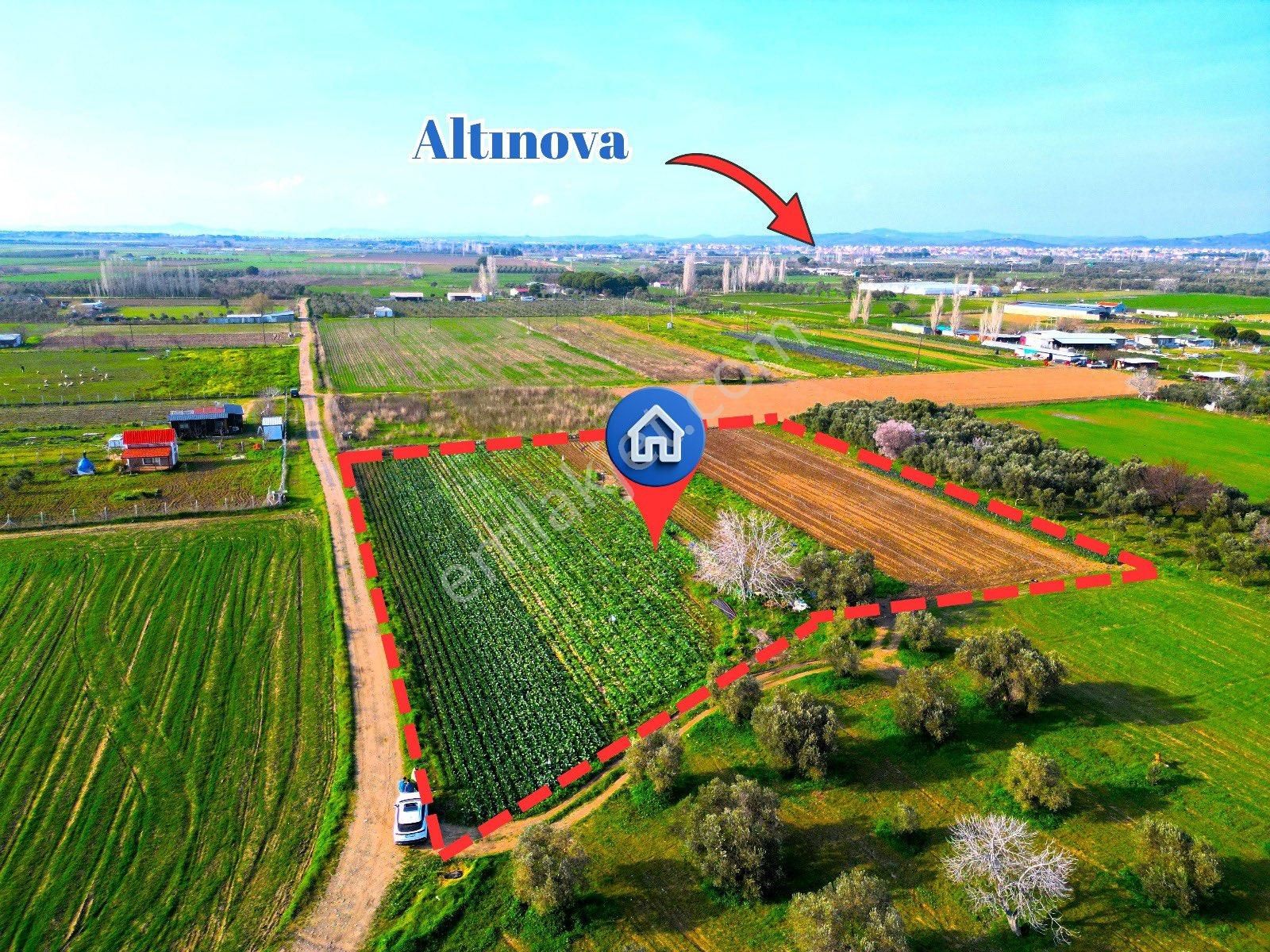 Rota’dan | Ayvalık Altınova’da Fırsat Tarla | Elektrik-su İçinde