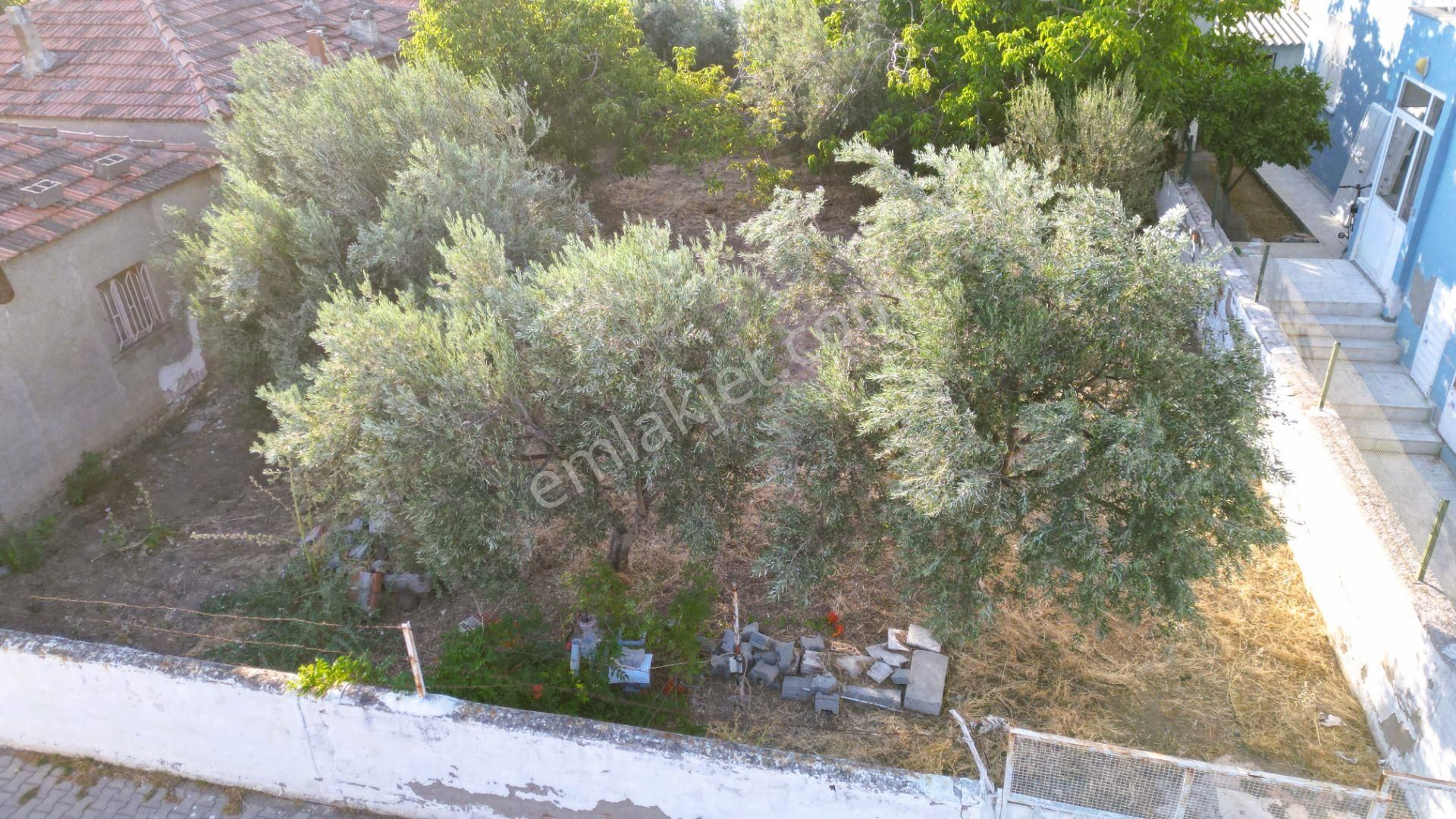 Şakran Bölük'de Satılık İmarlı Arsa - Görsel 19