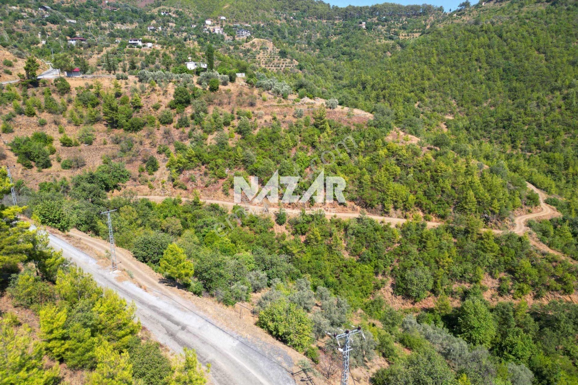 Alanya Çamlıca’da 3.010 M² Satılık Tarla - Görsel 17