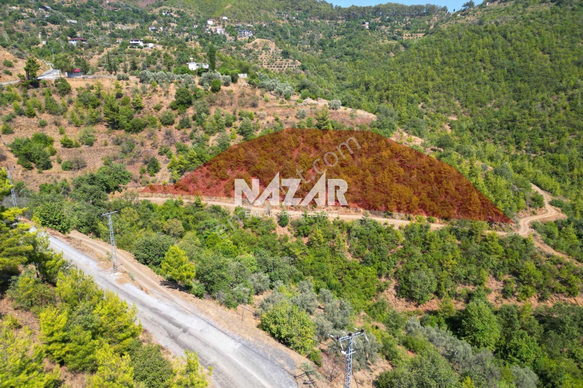 Alanya Çamlıca’da 3.010 M² Satılık Tarla - Görsel 4