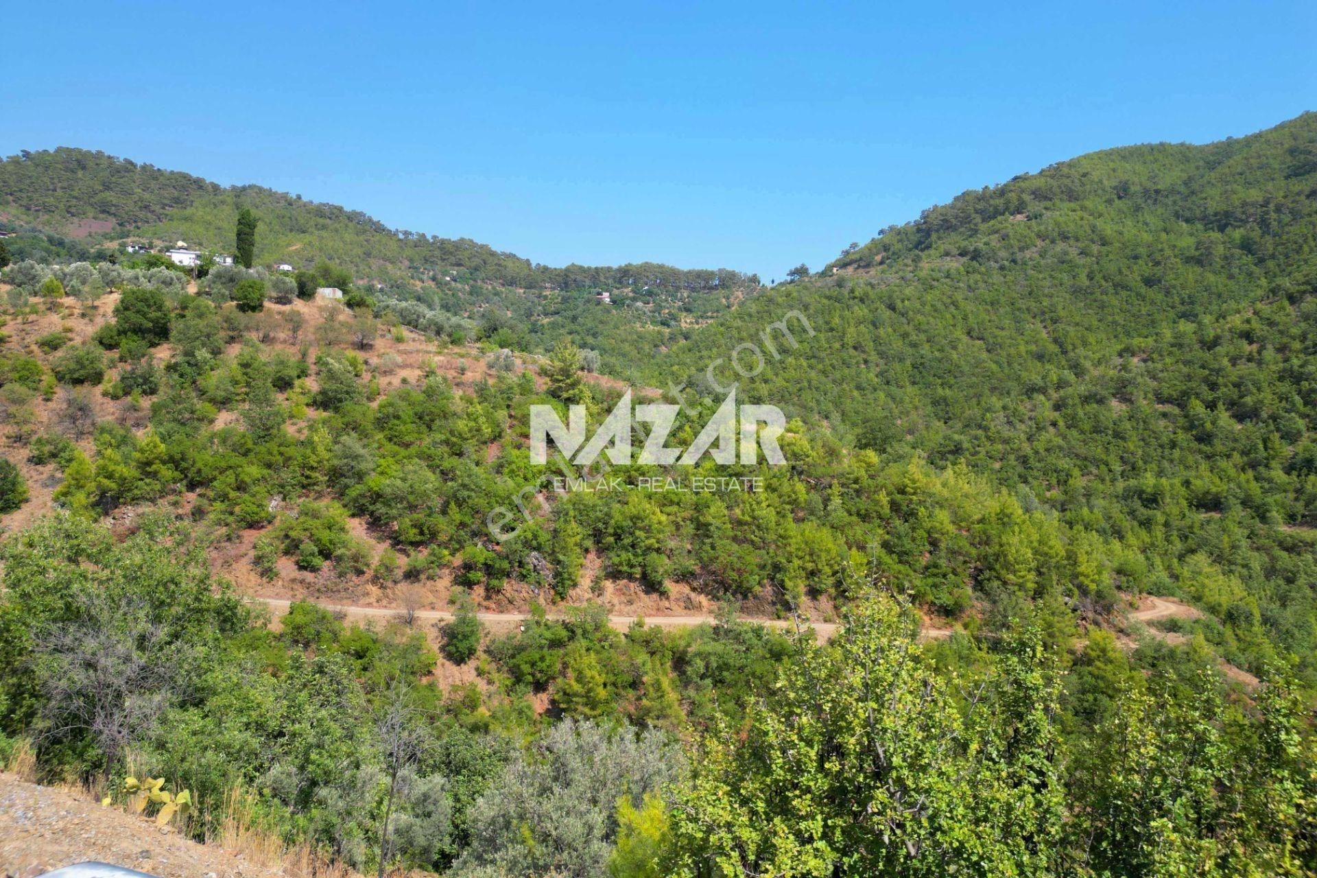 Alanya Çamlıca’da 3.010 M² Satılık Tarla - Görsel 16