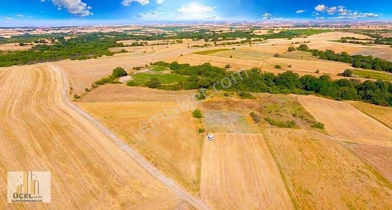 Uzunköprü Başağıl Mahallesinde Müstakil Tek Tapu 1.144 M2 Tarla - Görsel 4