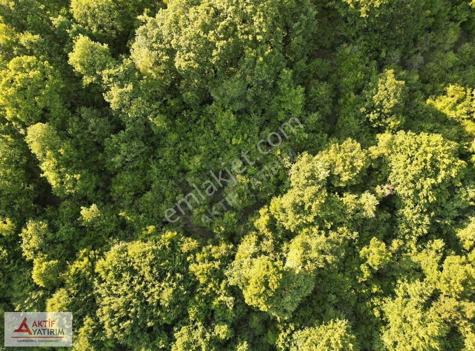 Bağırganlı'da Doğa İçinde 1490 M2 Satılık Tarla - Görsel 18